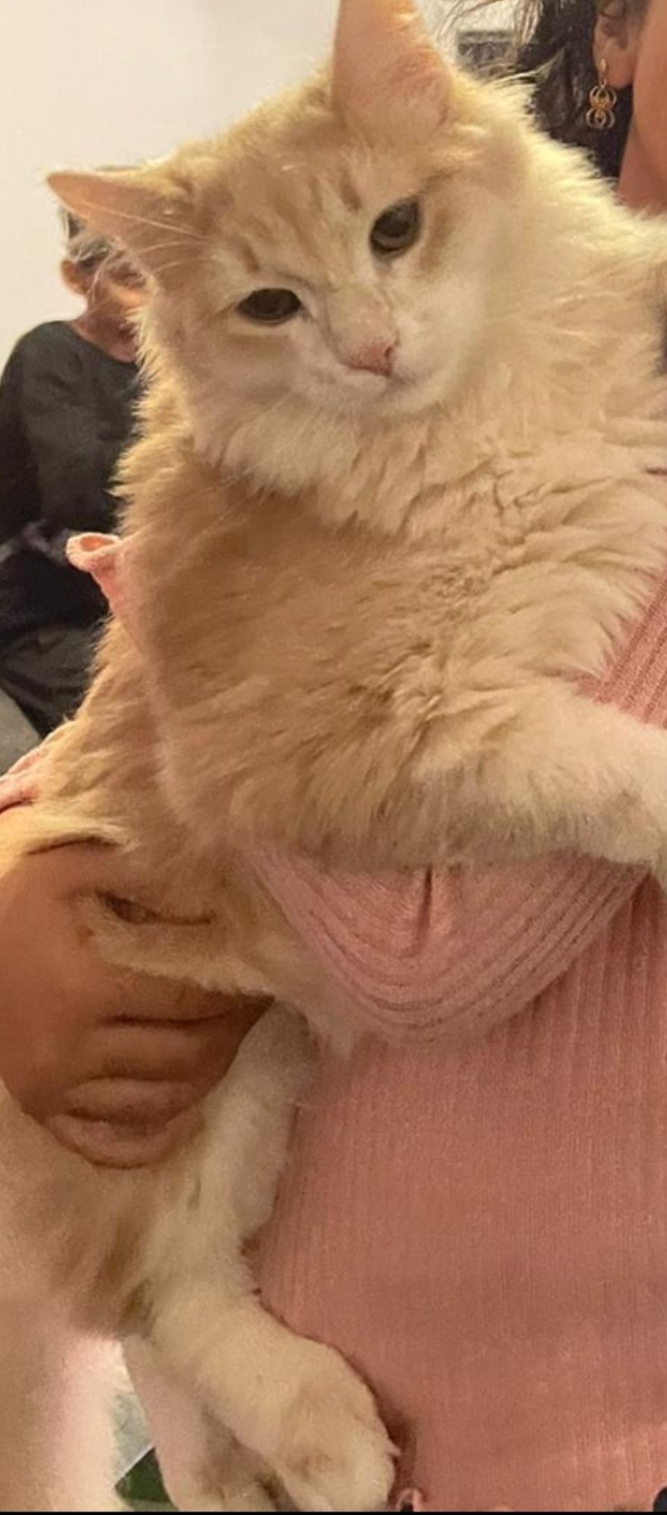 Coci - Südtiroler Straße, Bischofshofen