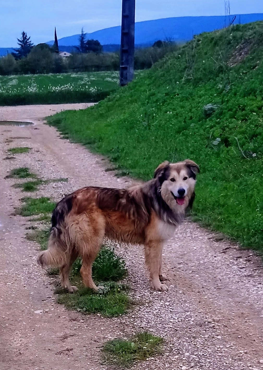 Kaya - Chemin Du Moulin D'oise, Robion