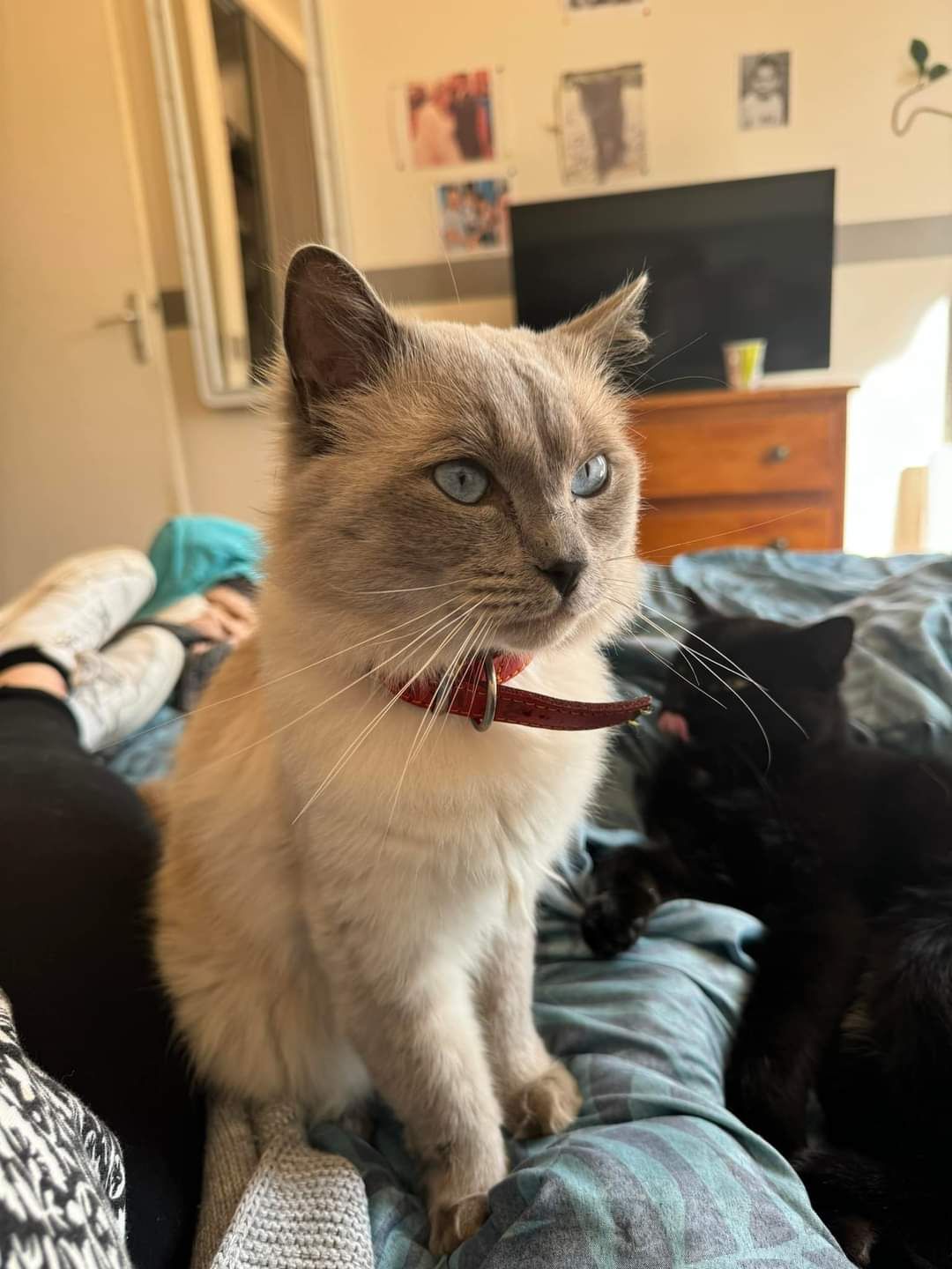 Thanos - Rue Du Porteur, Valentine