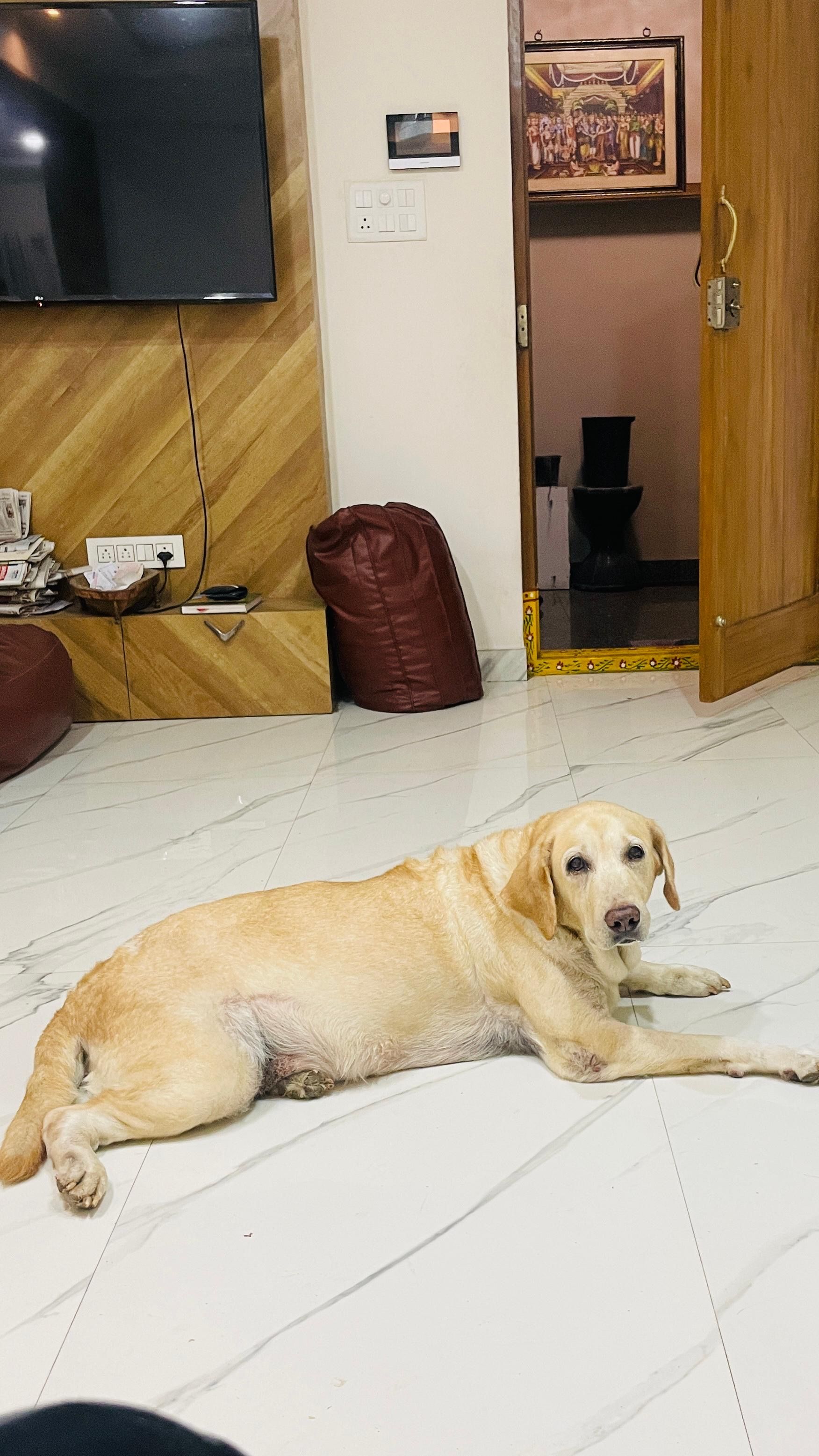 Princy - Sontyam, Anandapuram mandal