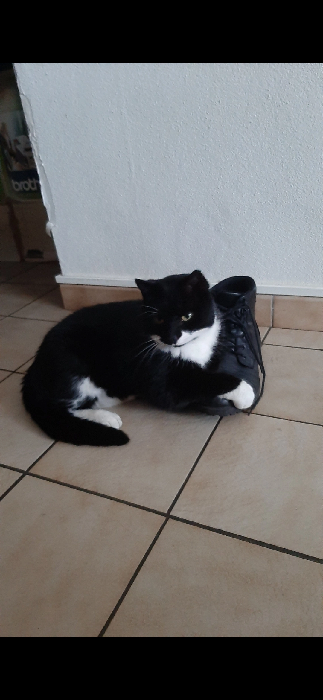 Poesje - Papaverstraat 7, Diepenbeek