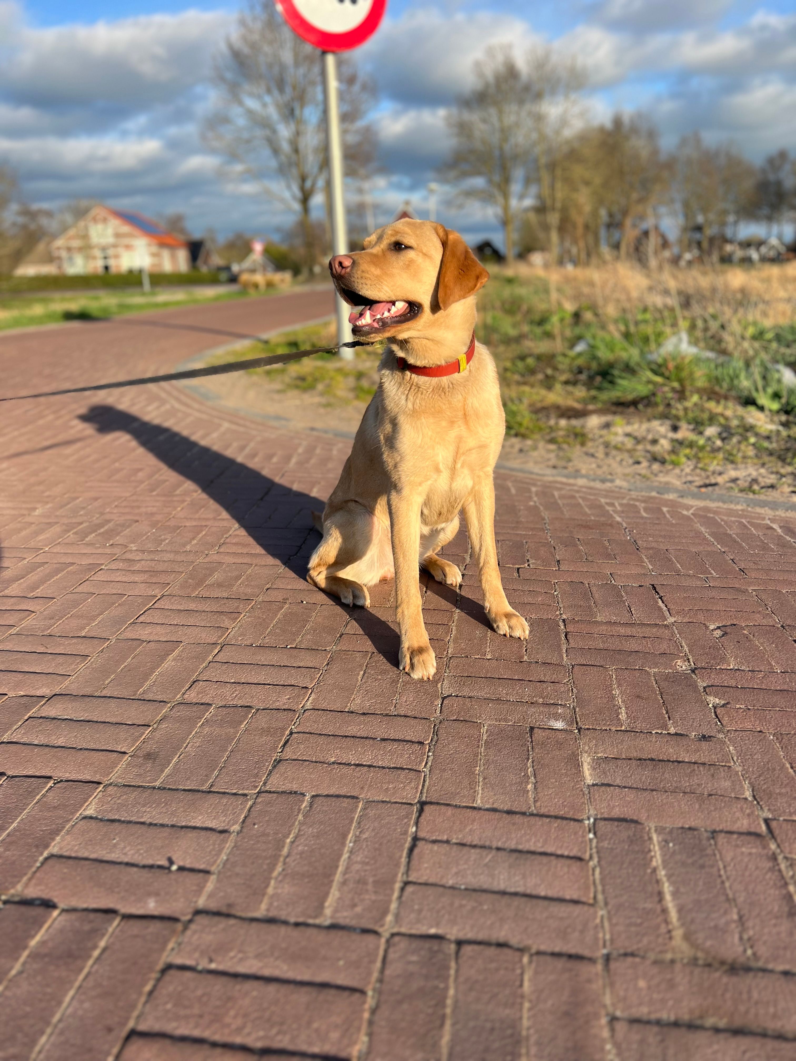 Guusje - Groot Oeverweg, Overijssel