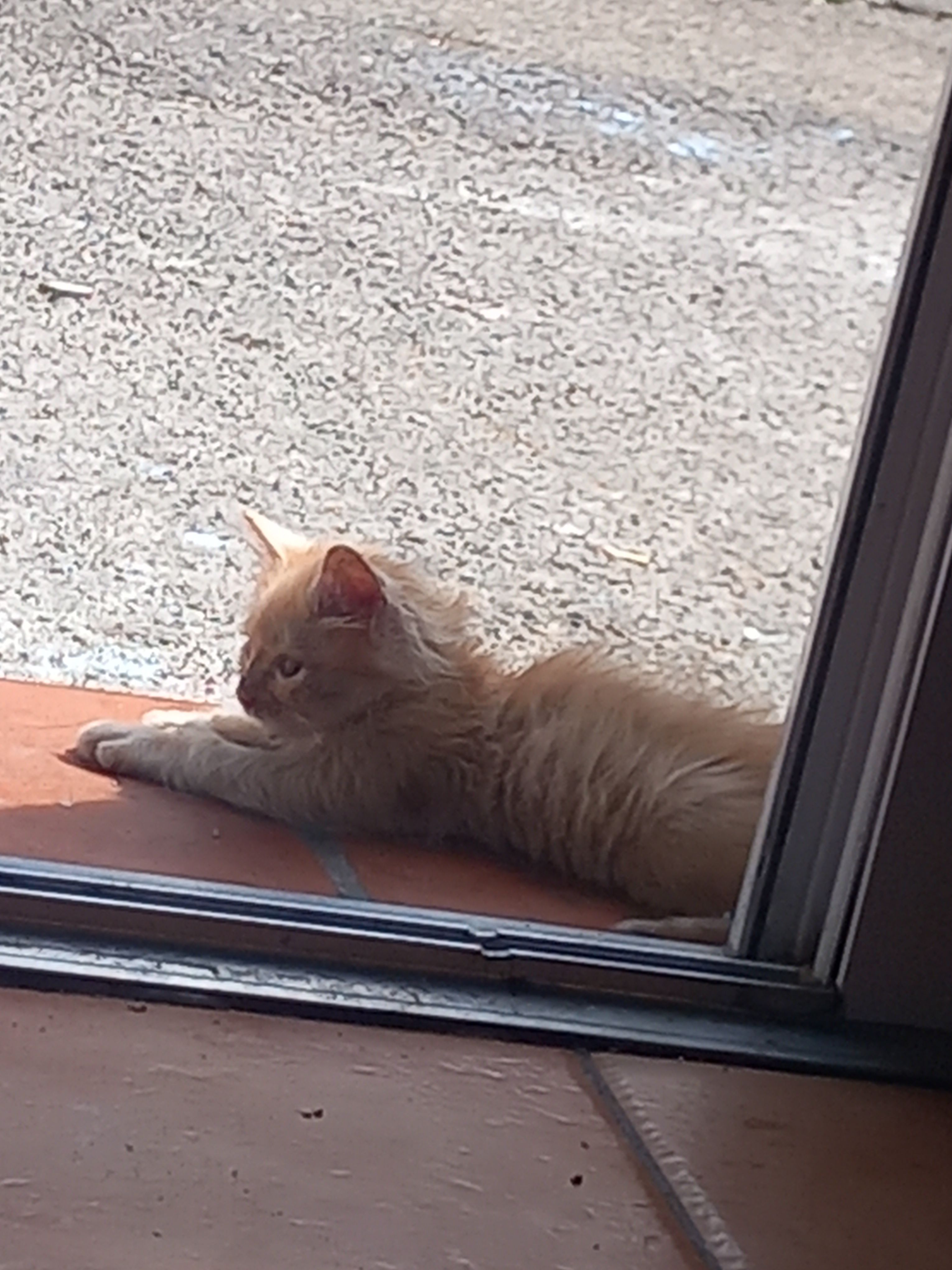 Cacahuete - Boulevard De Grignan, Istres