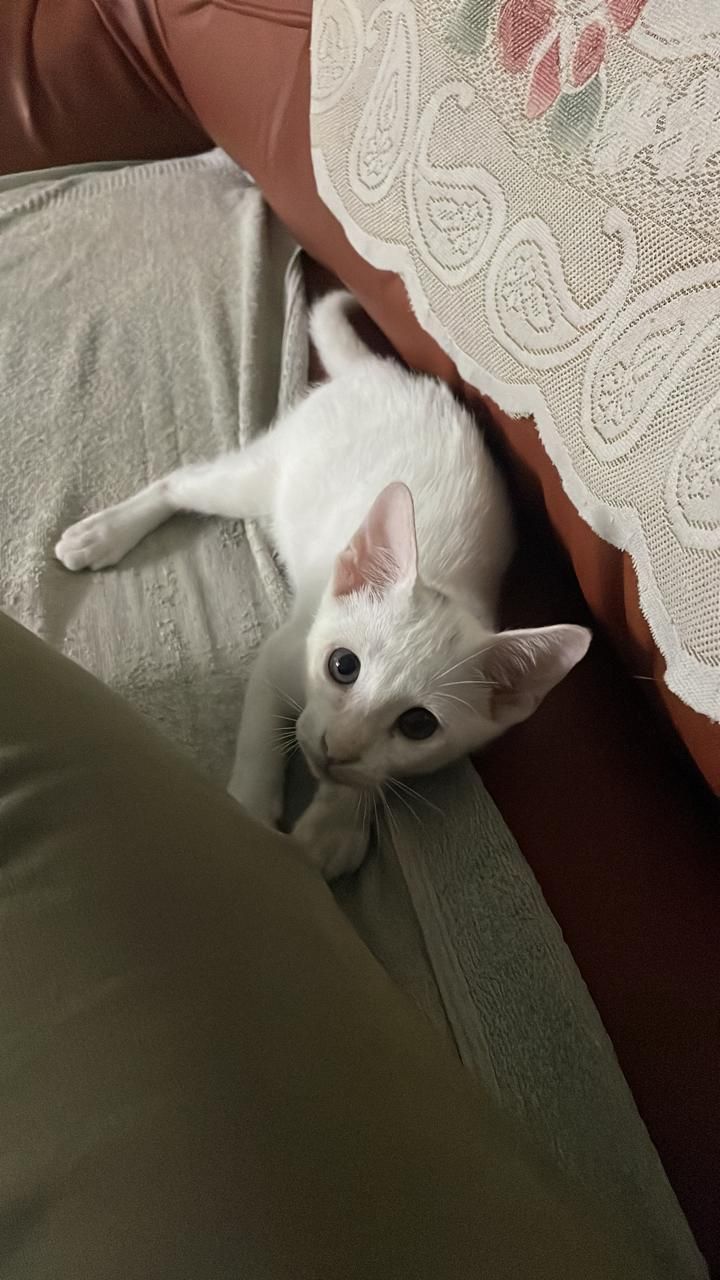 Nila - Santhosapuram, Tambaram