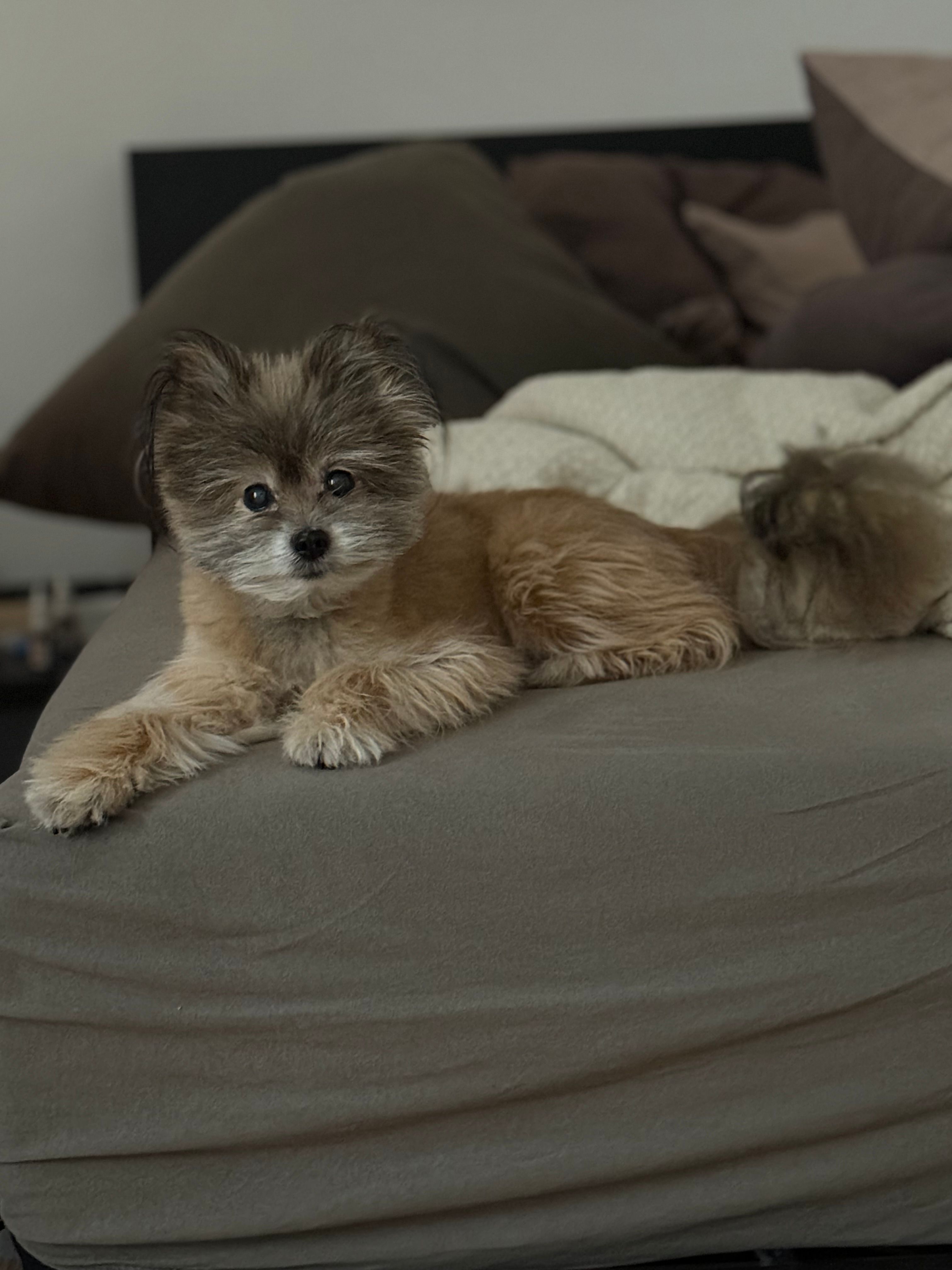 Sony  - Lilienstraße, München