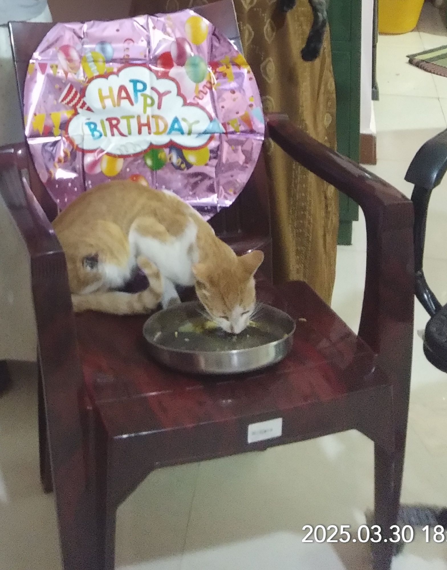 Ammu - Kuruchi - Madukkarai - Nachipalayam - Kannamanaickenur Road, Coimbatore