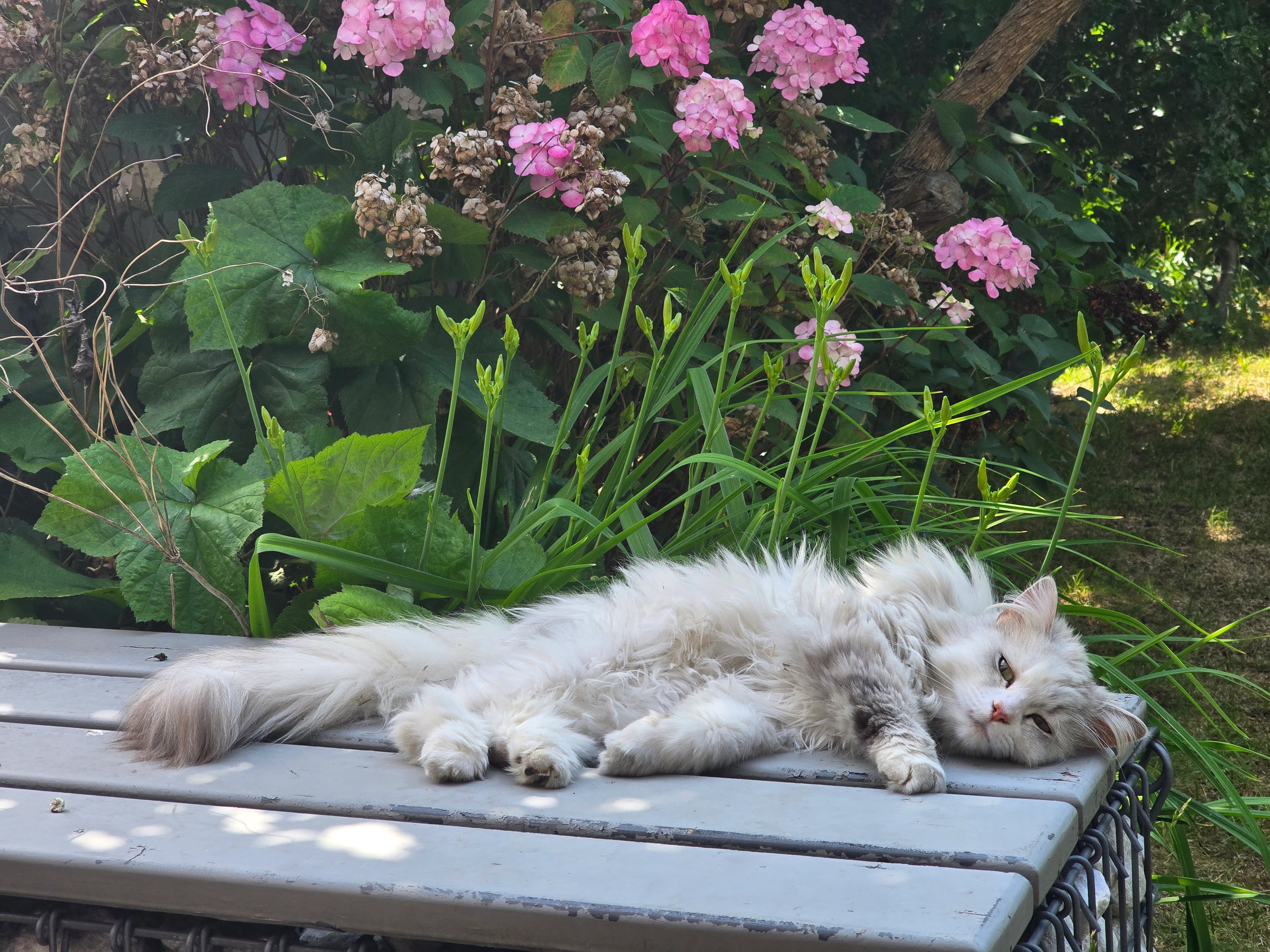 Püppi - Donaustraße, Rüsselsheim am Main