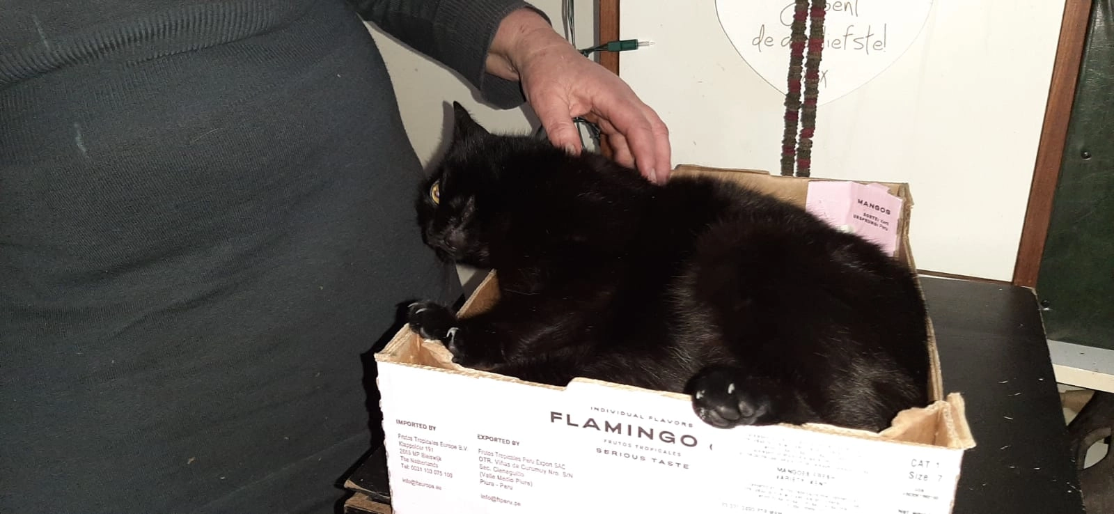 Pip - Koningin Julianastraat, Staphorst