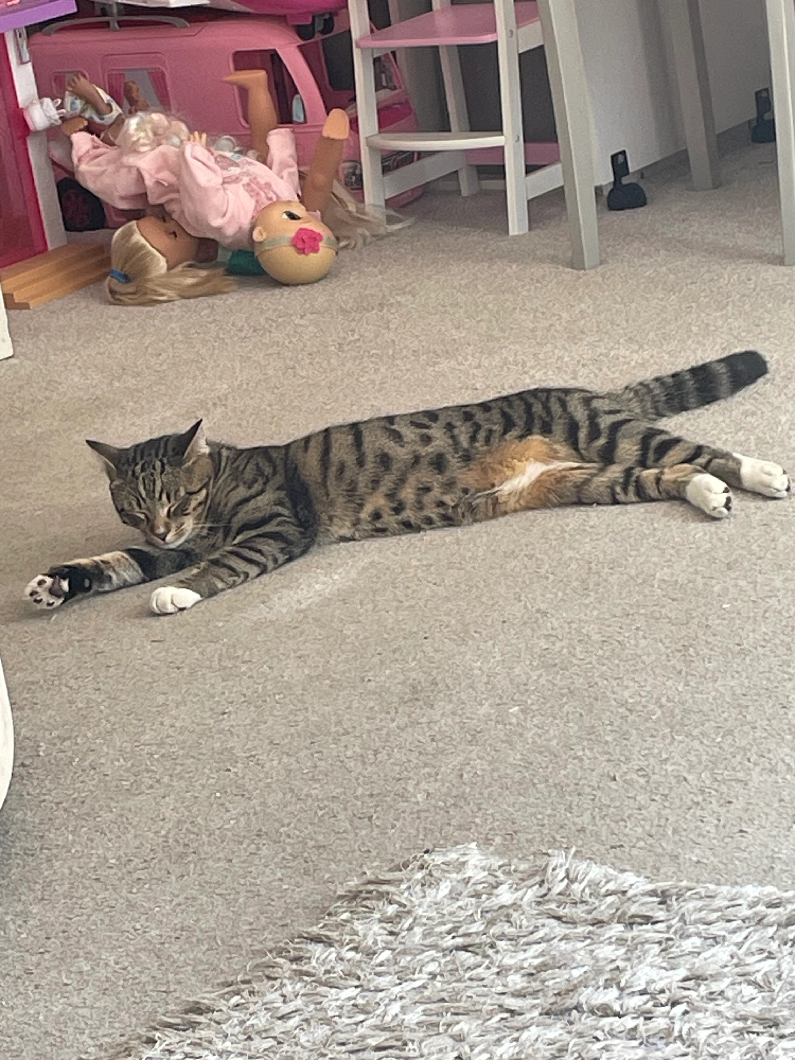 Max  - Griffen Road, Weston-super-Mare