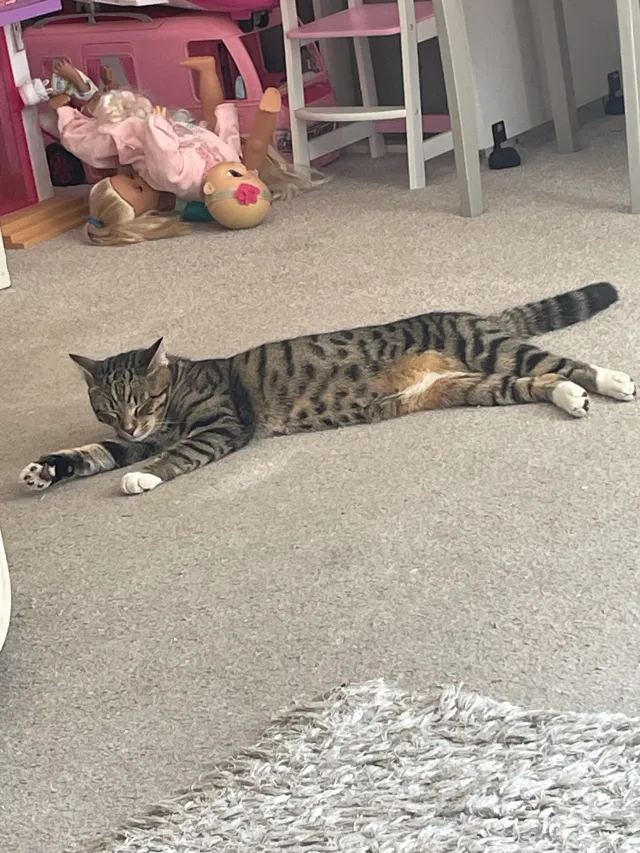 Max  - Griffen Road, Weston-super-Mare