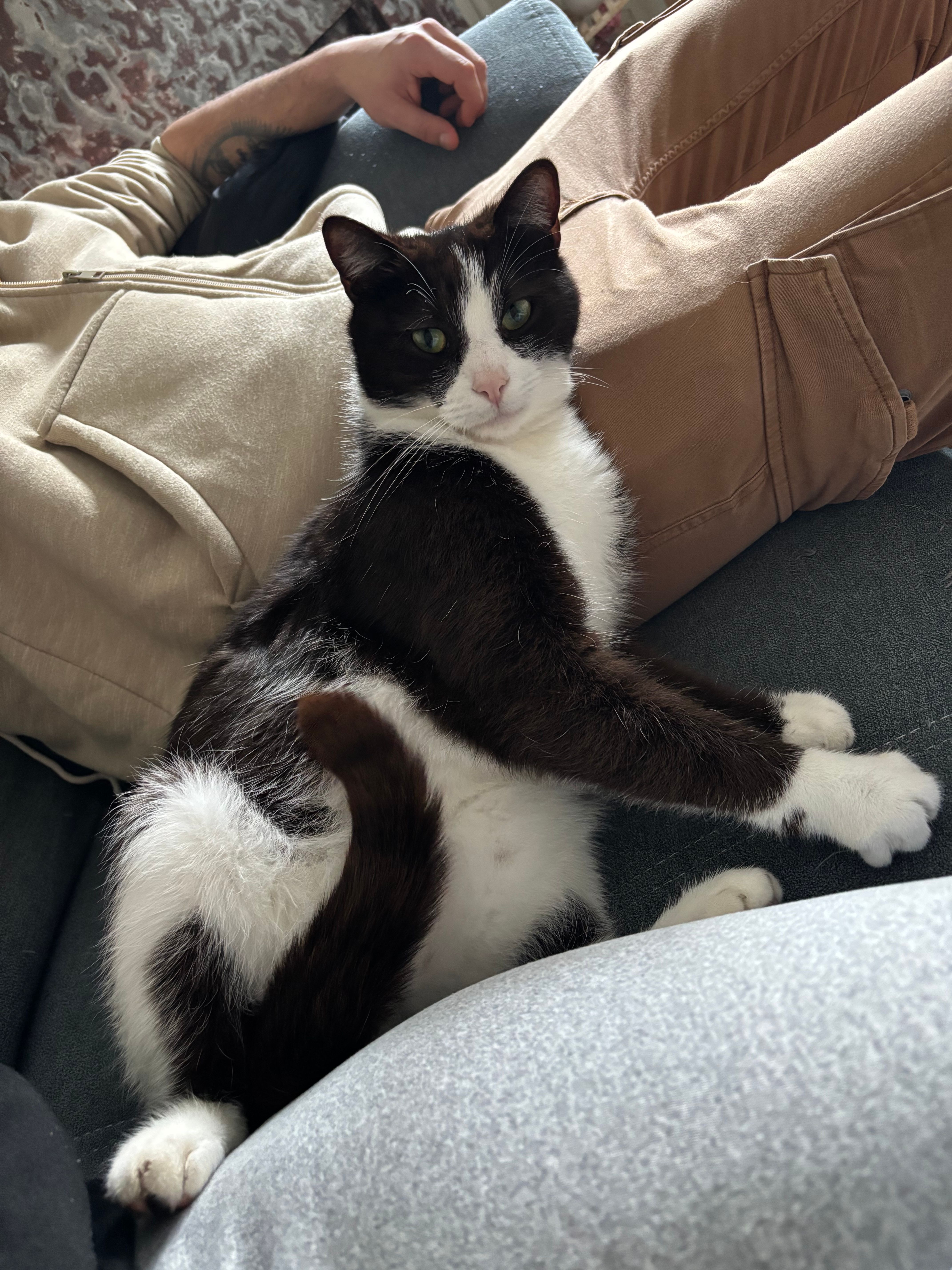 Milo - 21 Rue du Général Gramat, Brive-la-Gaillarde