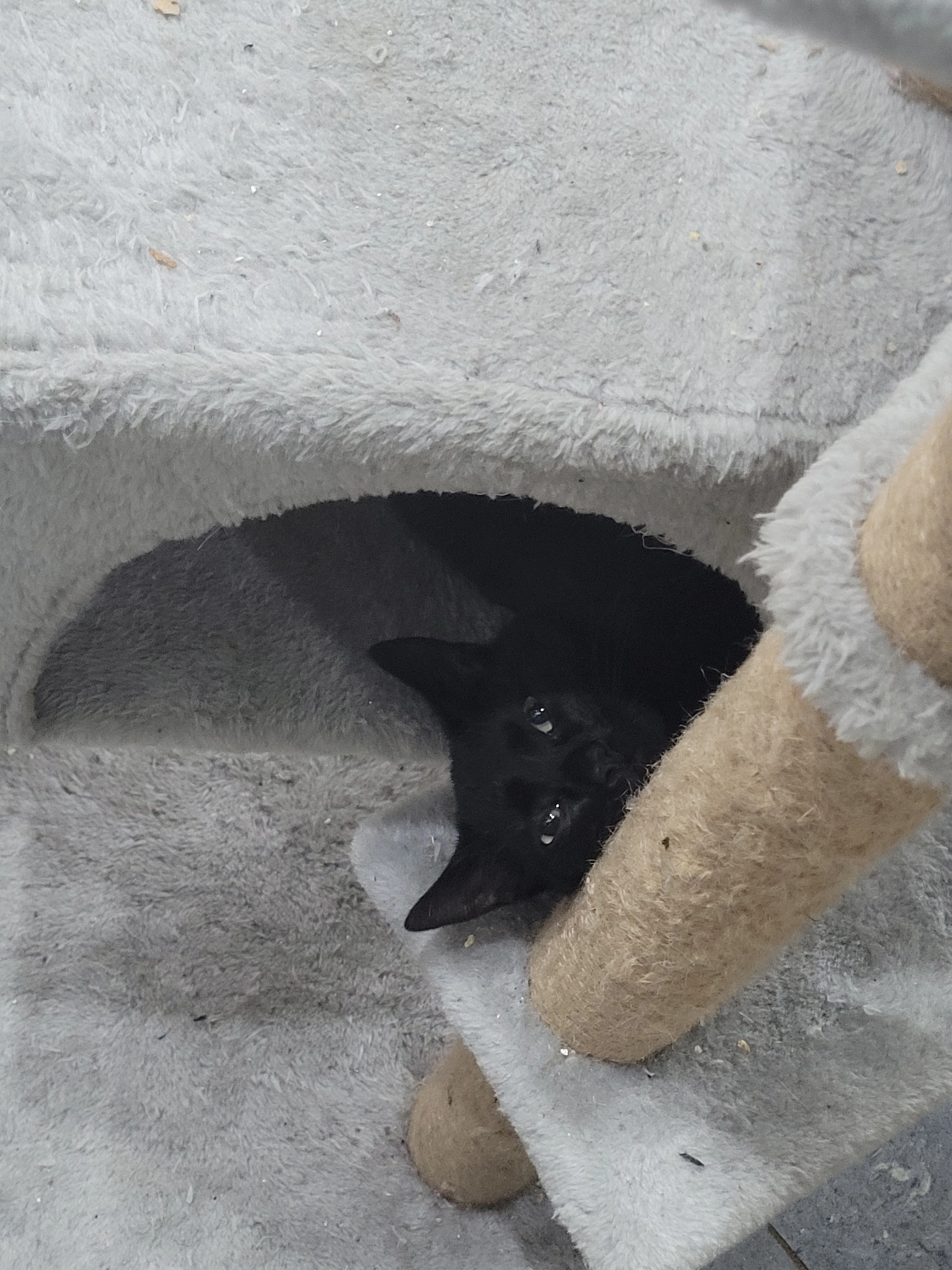 Muesa - Konrad-Adenauer-Straße, Schwäbisch Gmünd