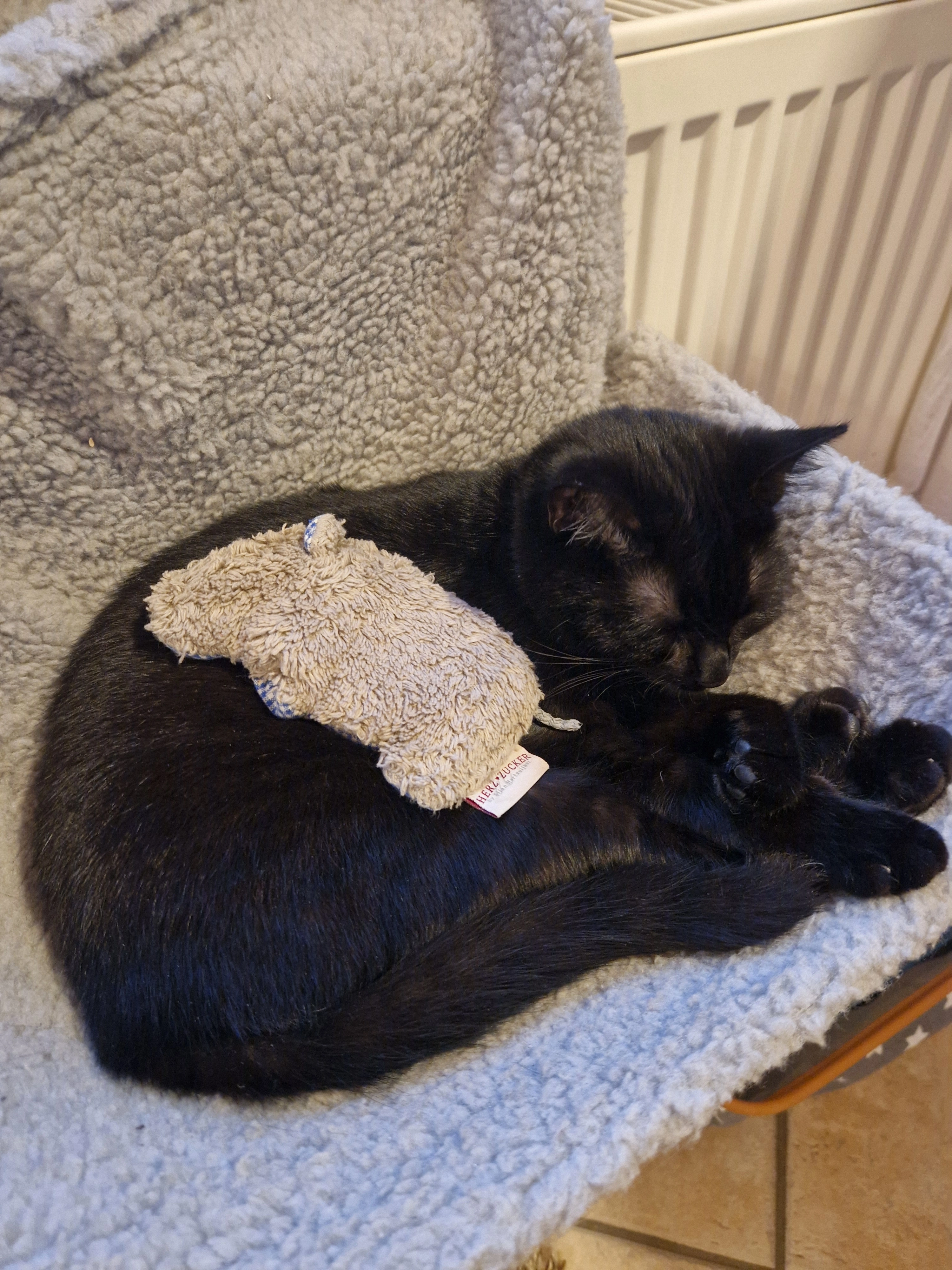 Kiki - 97633, Großeibstadt