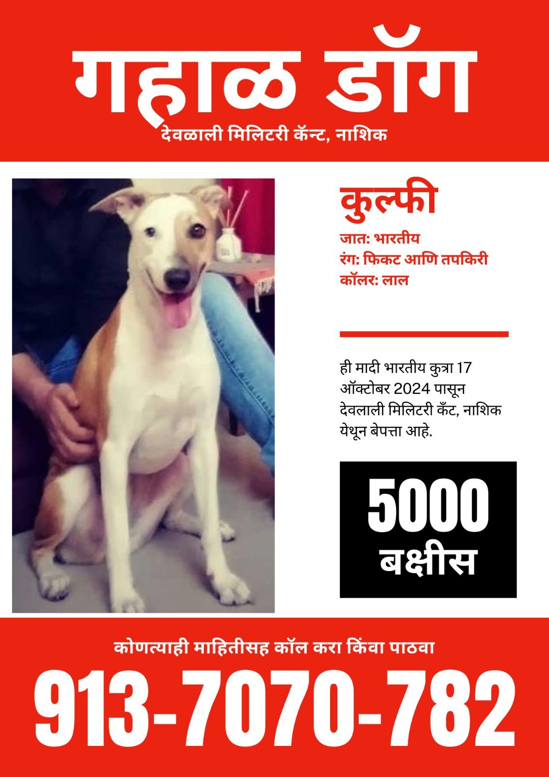 Kulfi - Lam Road, Nashik