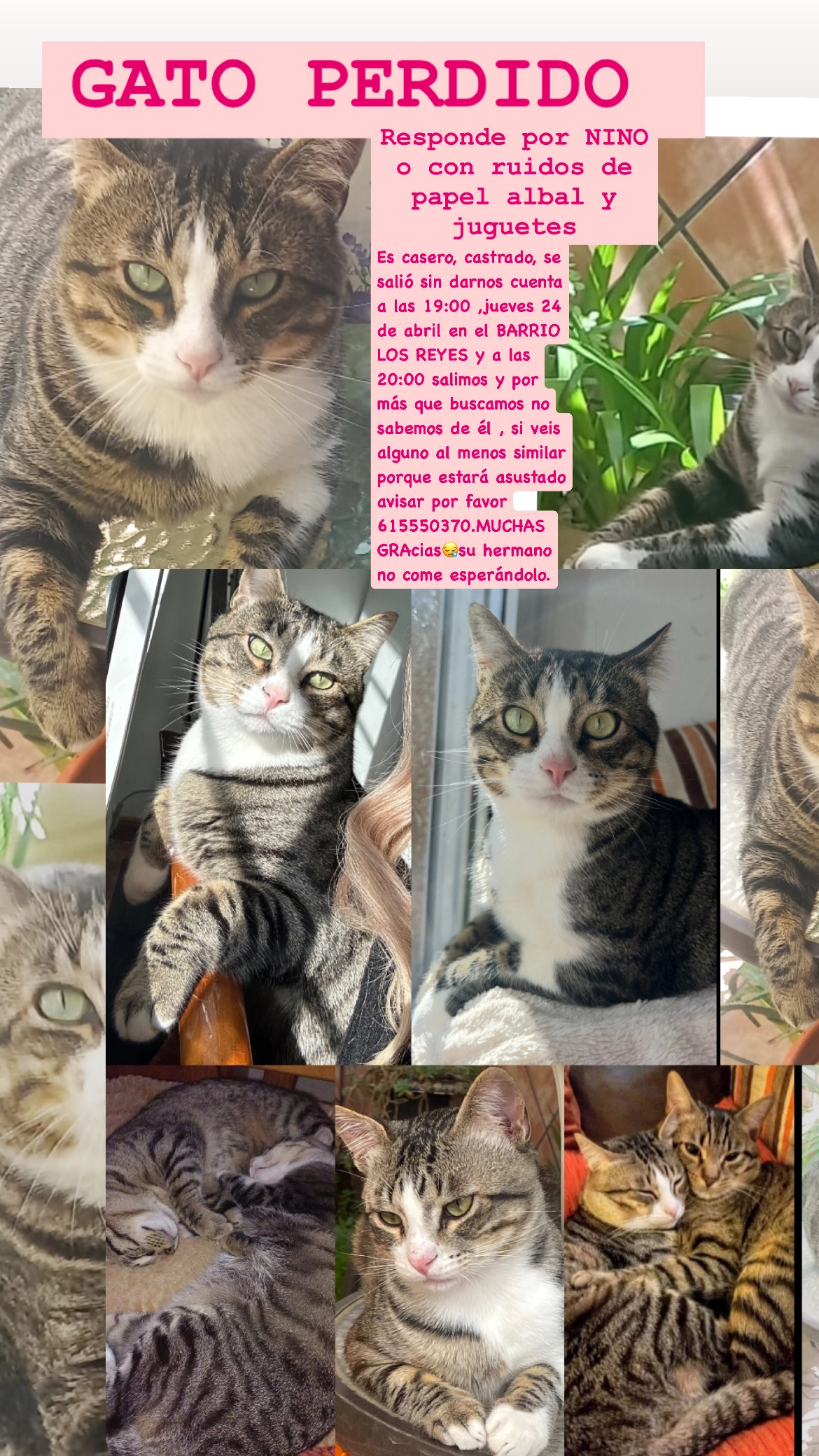 Nino - Bo Los Reyes, Huéscar