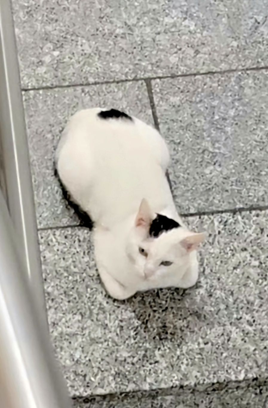 Fahad - Ernst-Reuter-Straße, Würzburg