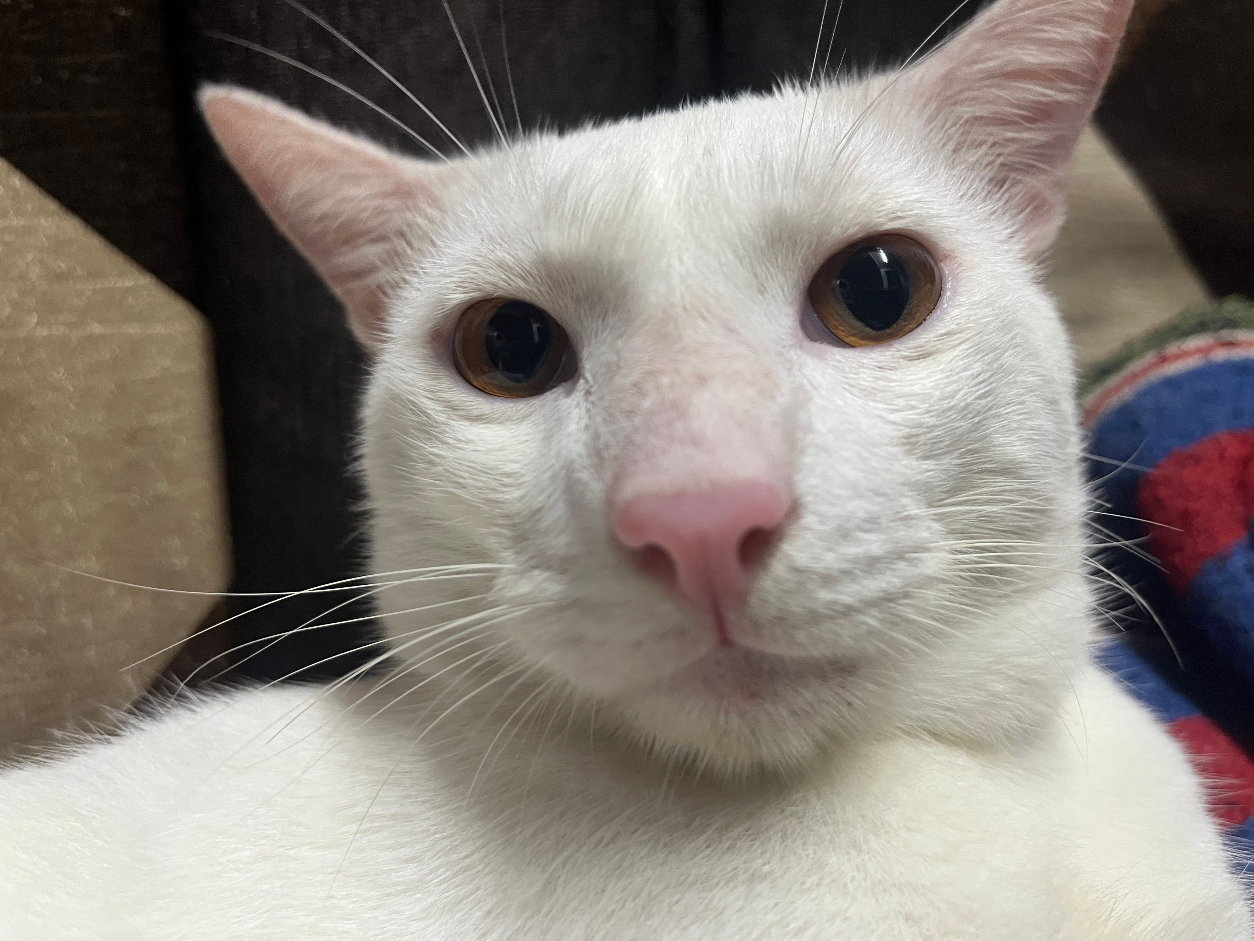 Boku - Laboratory Street, Mumbai