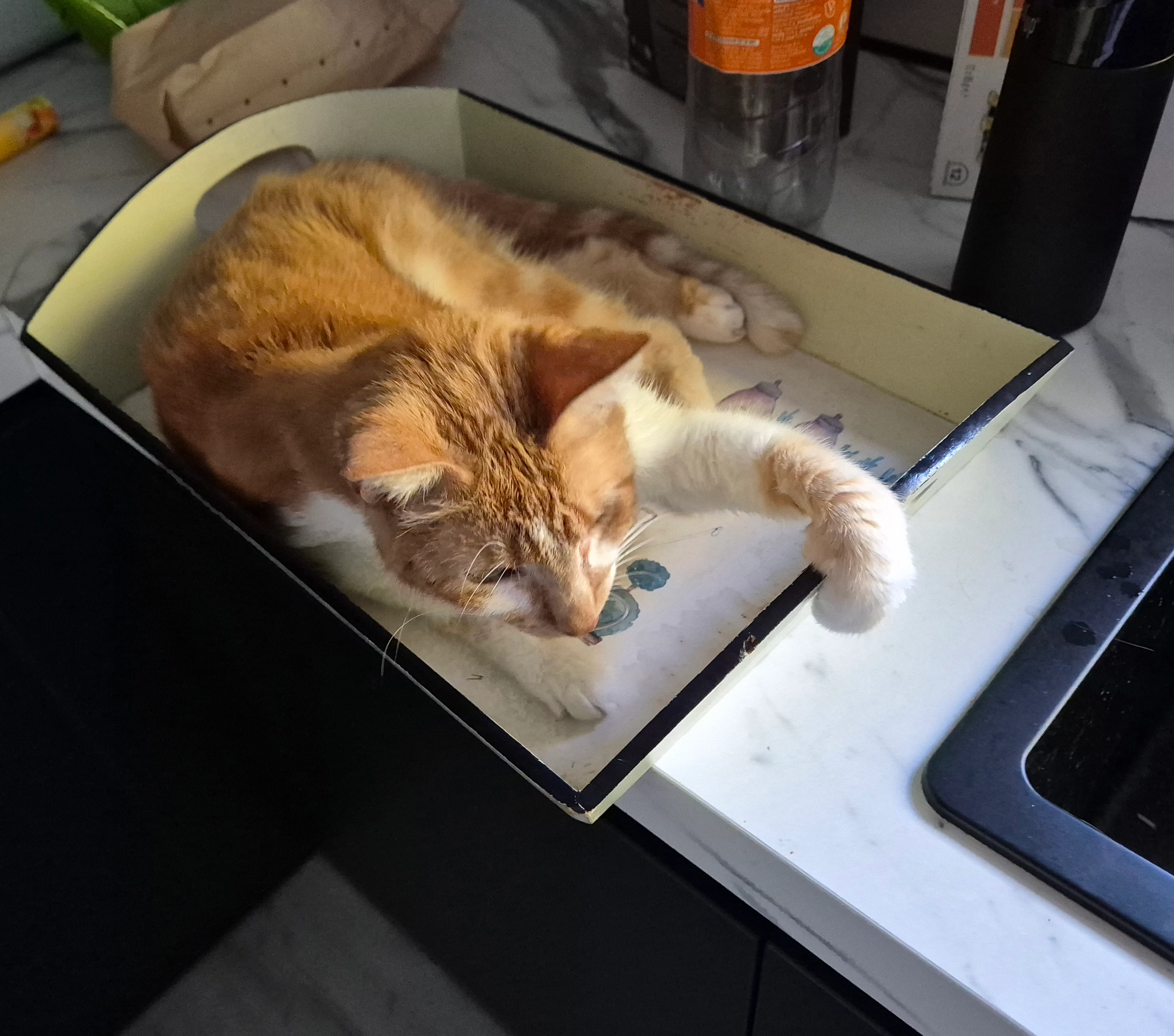 Felix - Kerkweg, Rockanje