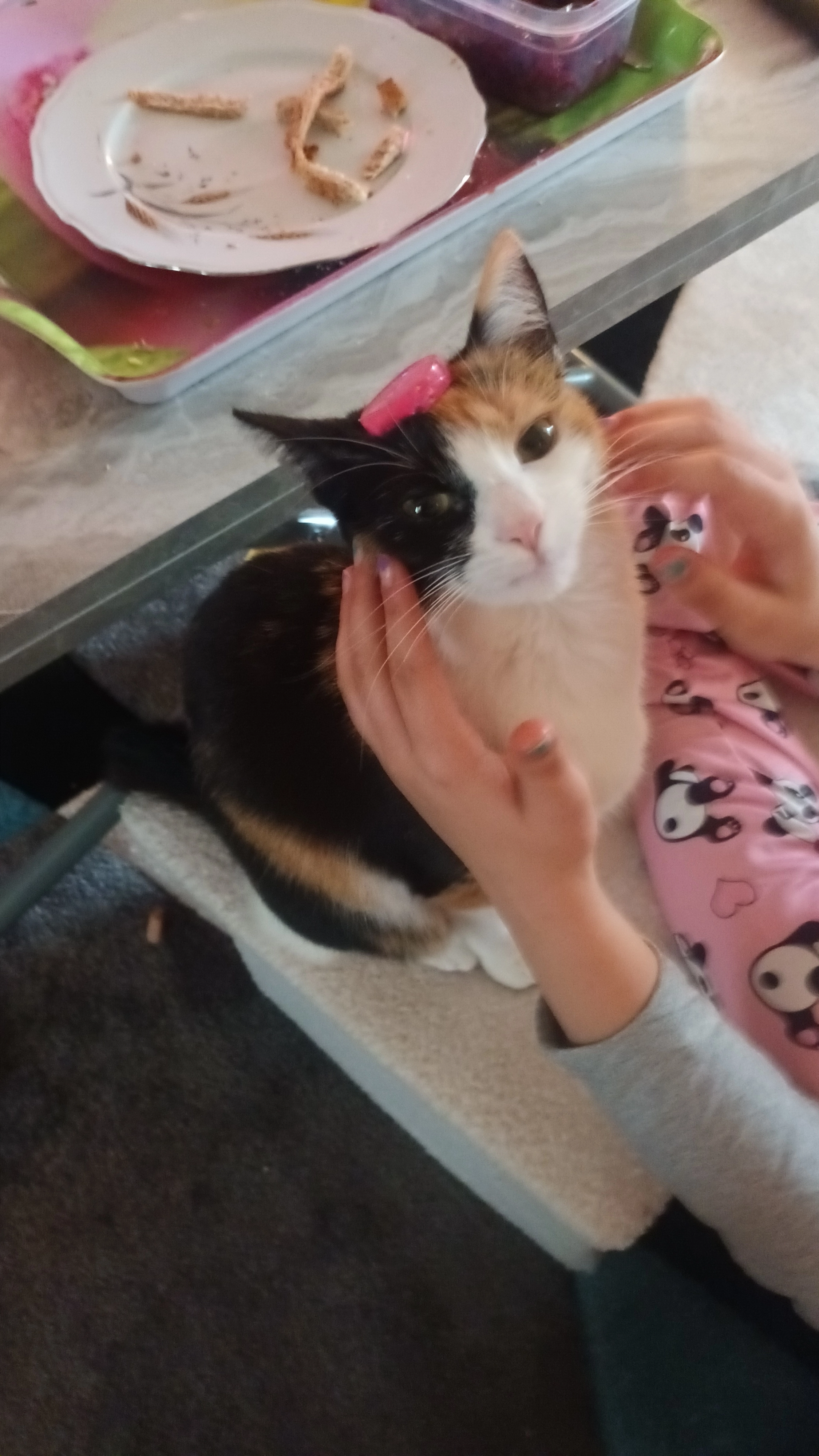 Gaia - Rue Gaston Briand, Segonzac