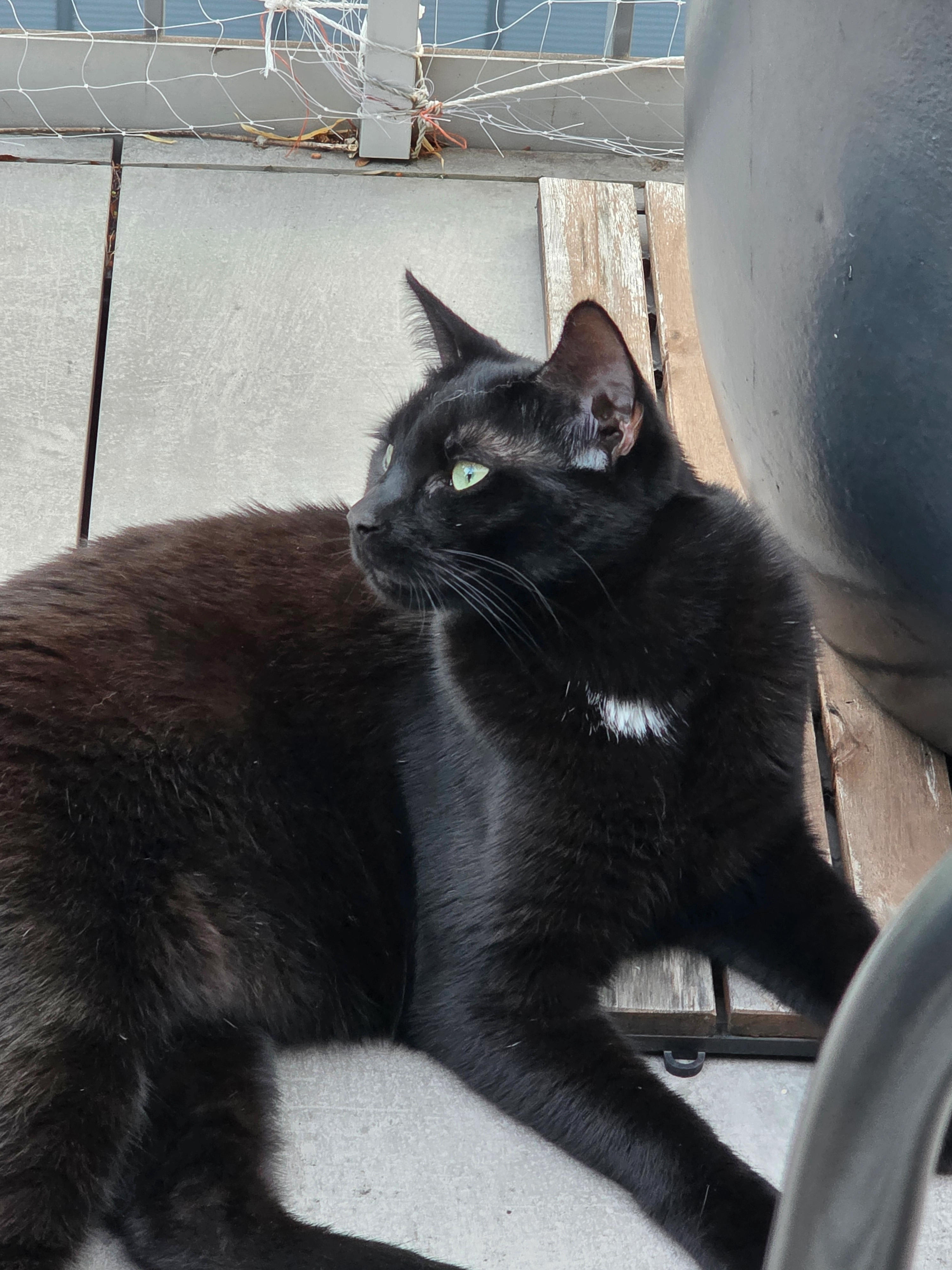 Mario - Avenue du Crochetan, Monthey