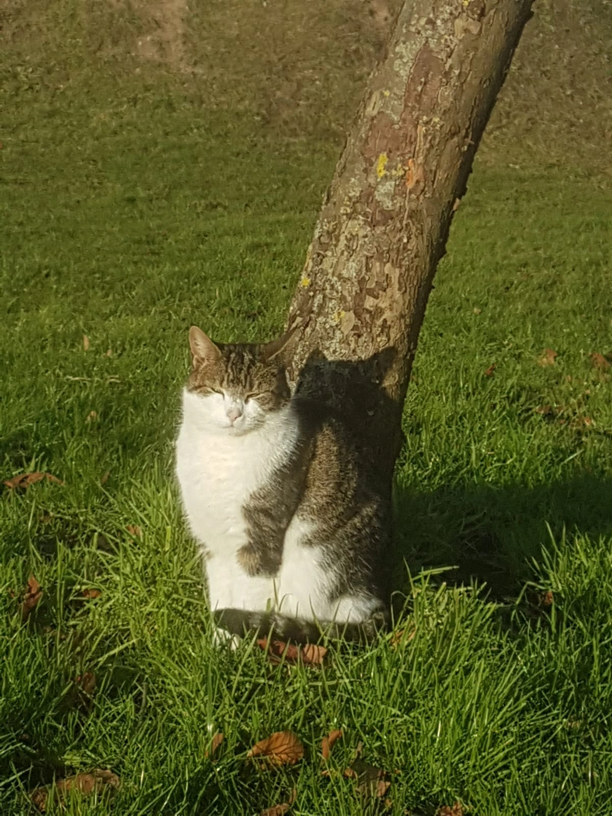 Schnuckelchen - Moosgaard 1, Esgrus