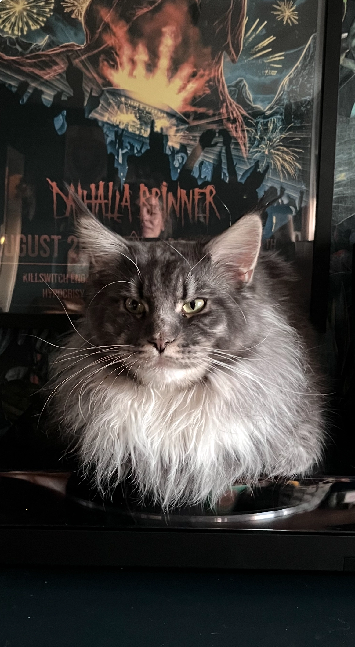 Joda - Tondernstraße, Gelsenkirchen