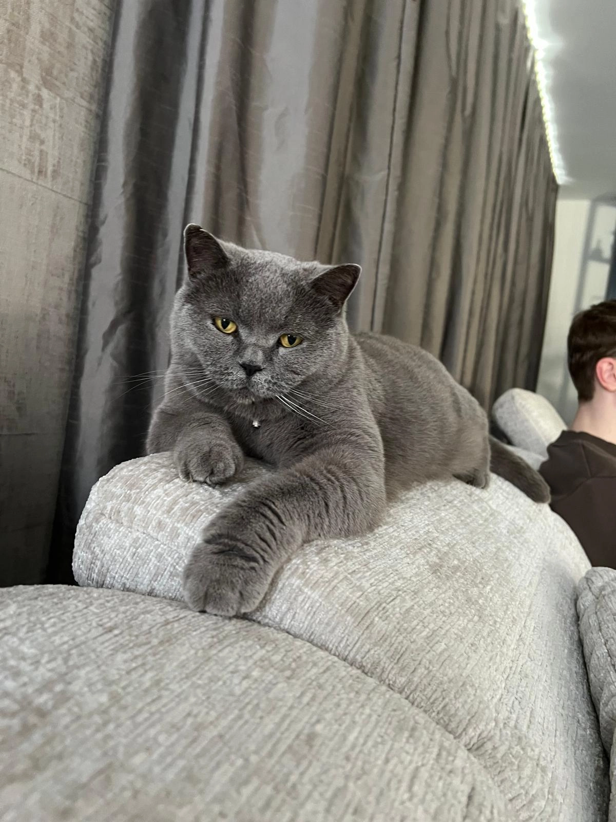 Kiki - Vriezeweg, Deest