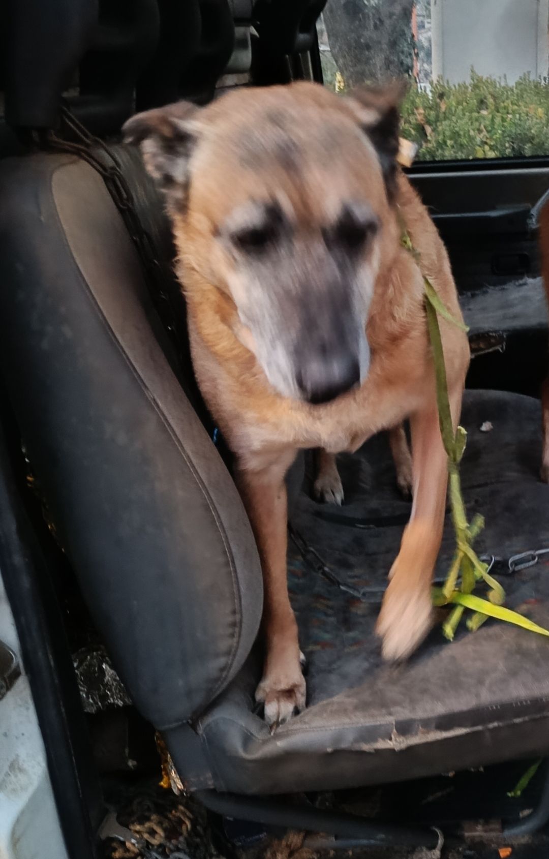 NHALA - HLM Lopofa, Perpignan