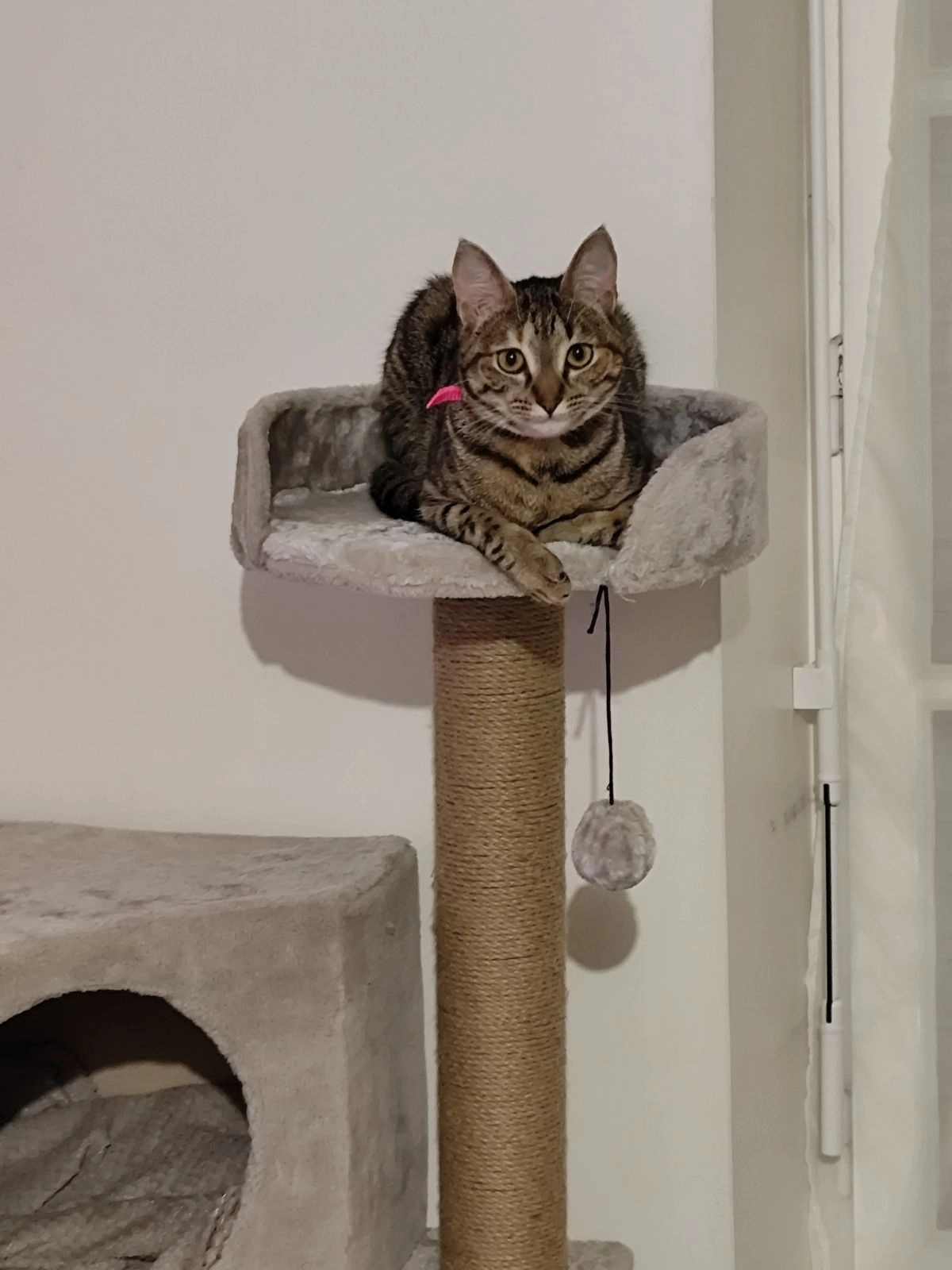 Vaya - Rue De Verdun, Port-Brillet