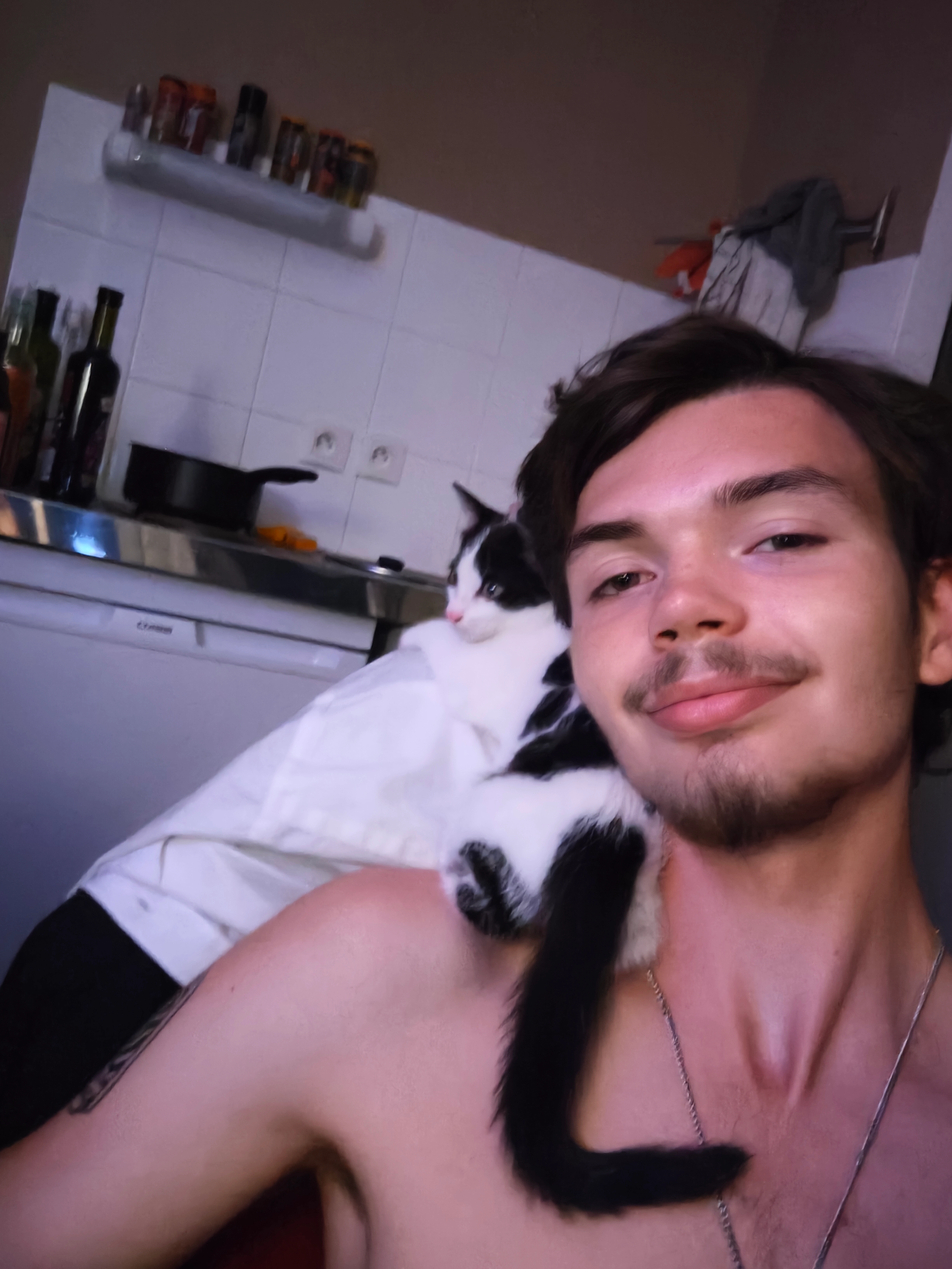 Azelle - 15 Rue du Maroc, La Roche-sur-Yon