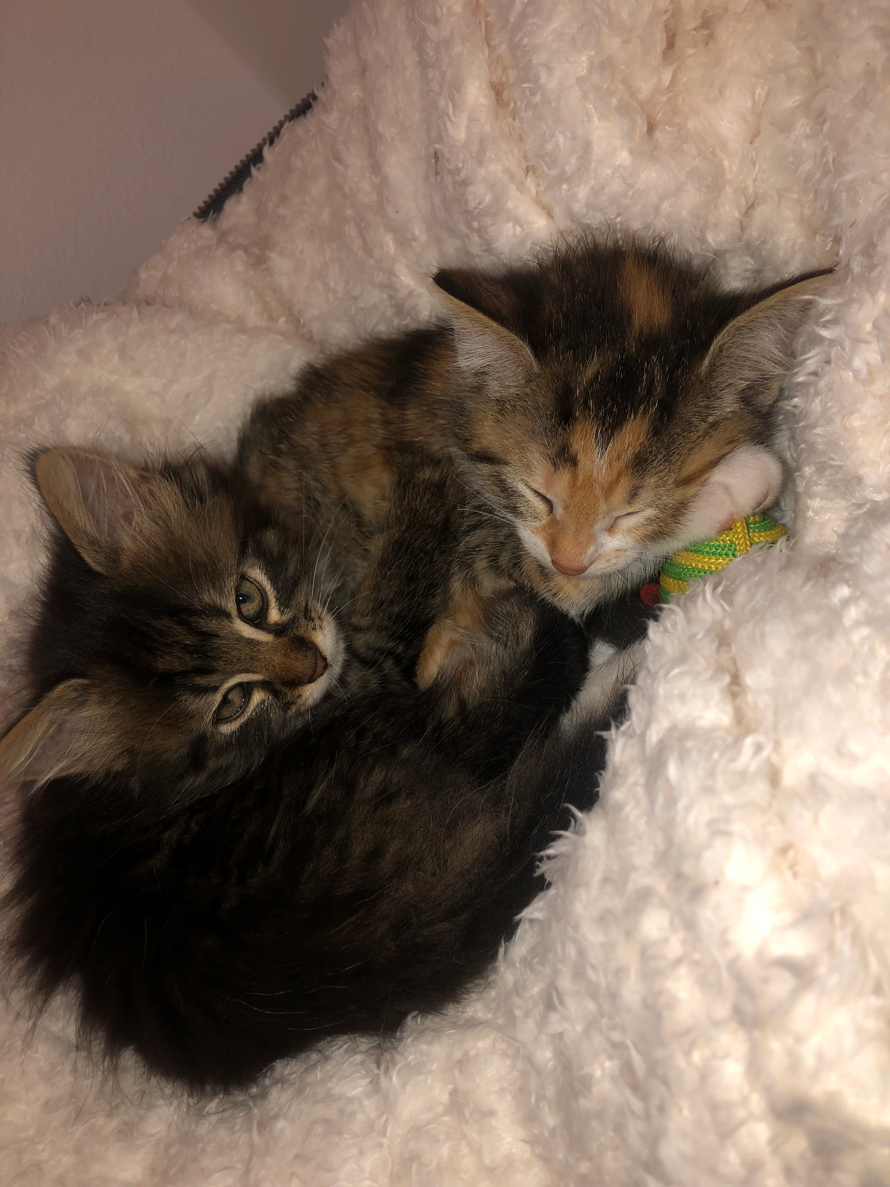 Pablo und Myo - Bahnhofstraße, Saal an der Donau