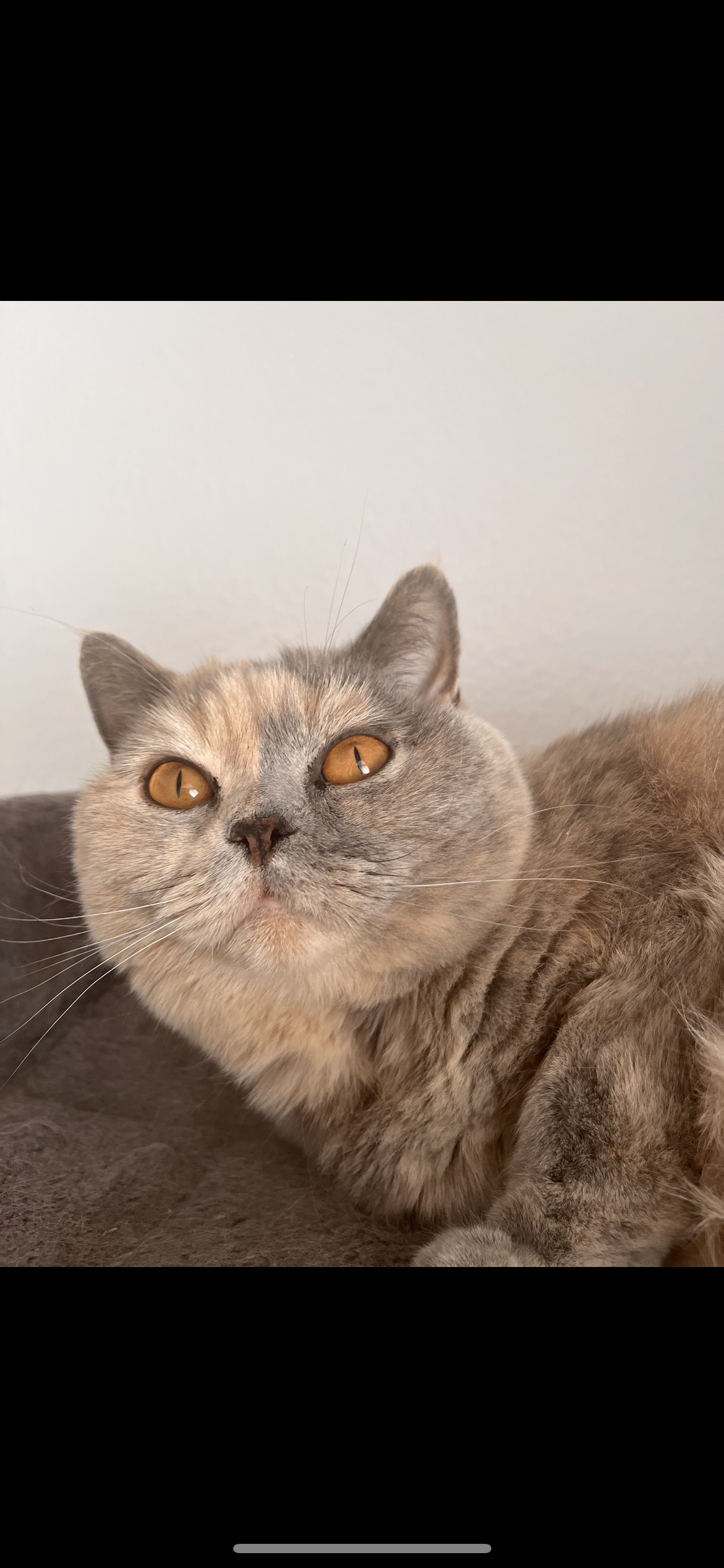 Hanni - Zum Holzhof, Bruchhausen-Vilsen