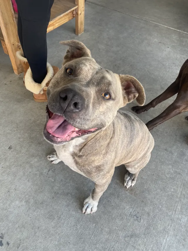Kali - Amador St, Vallejo