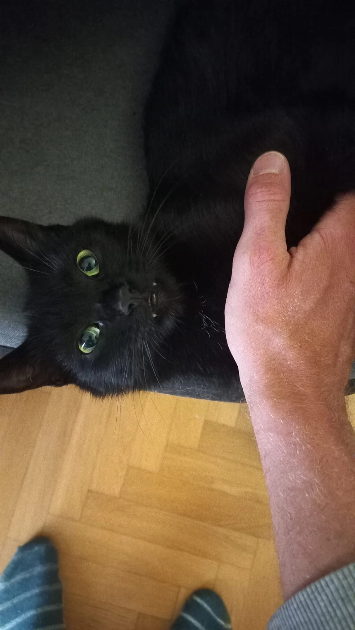 Cornelius - Mannagettaweg, Graz