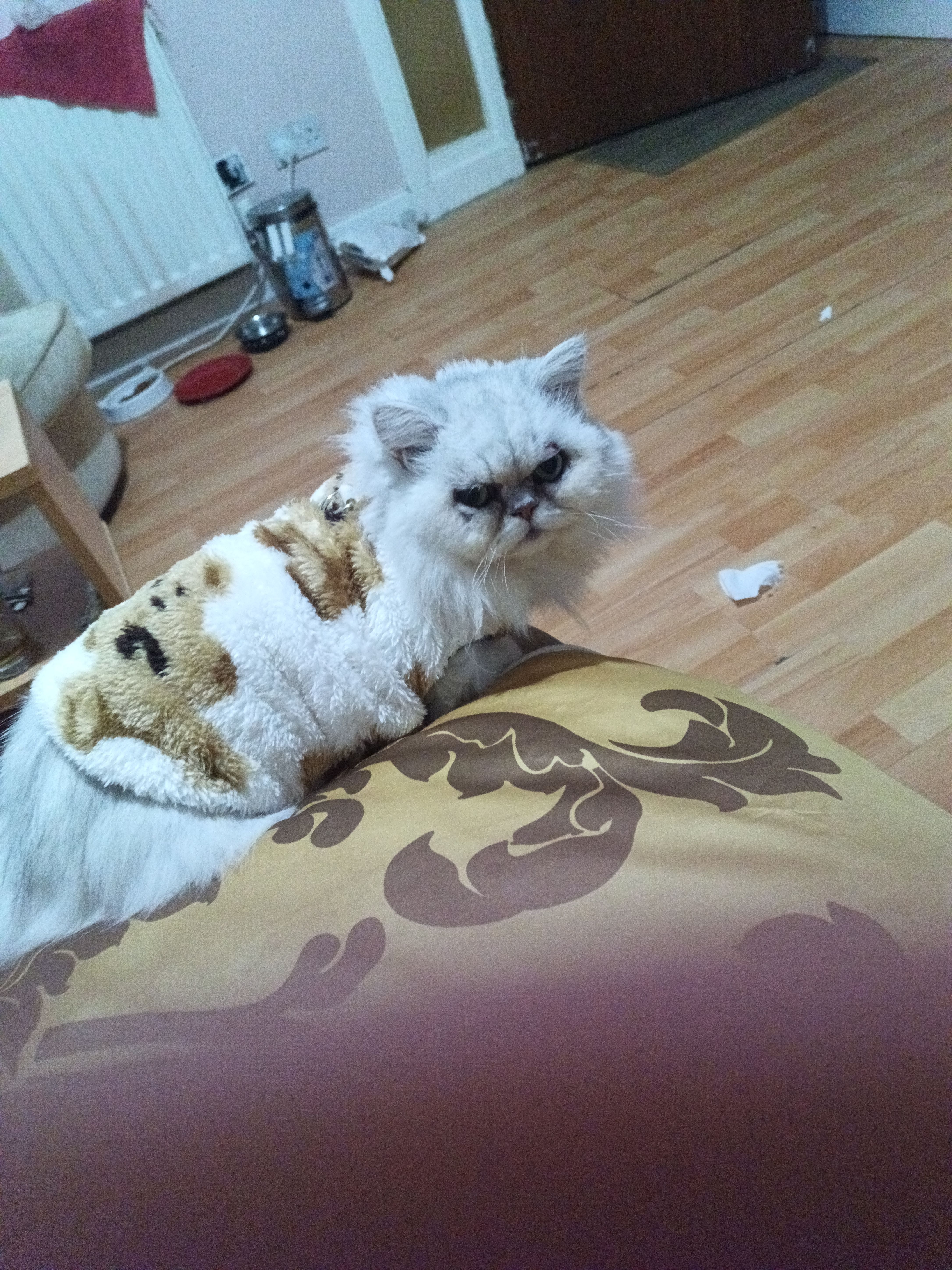 Babar - KA20 4, Scotland