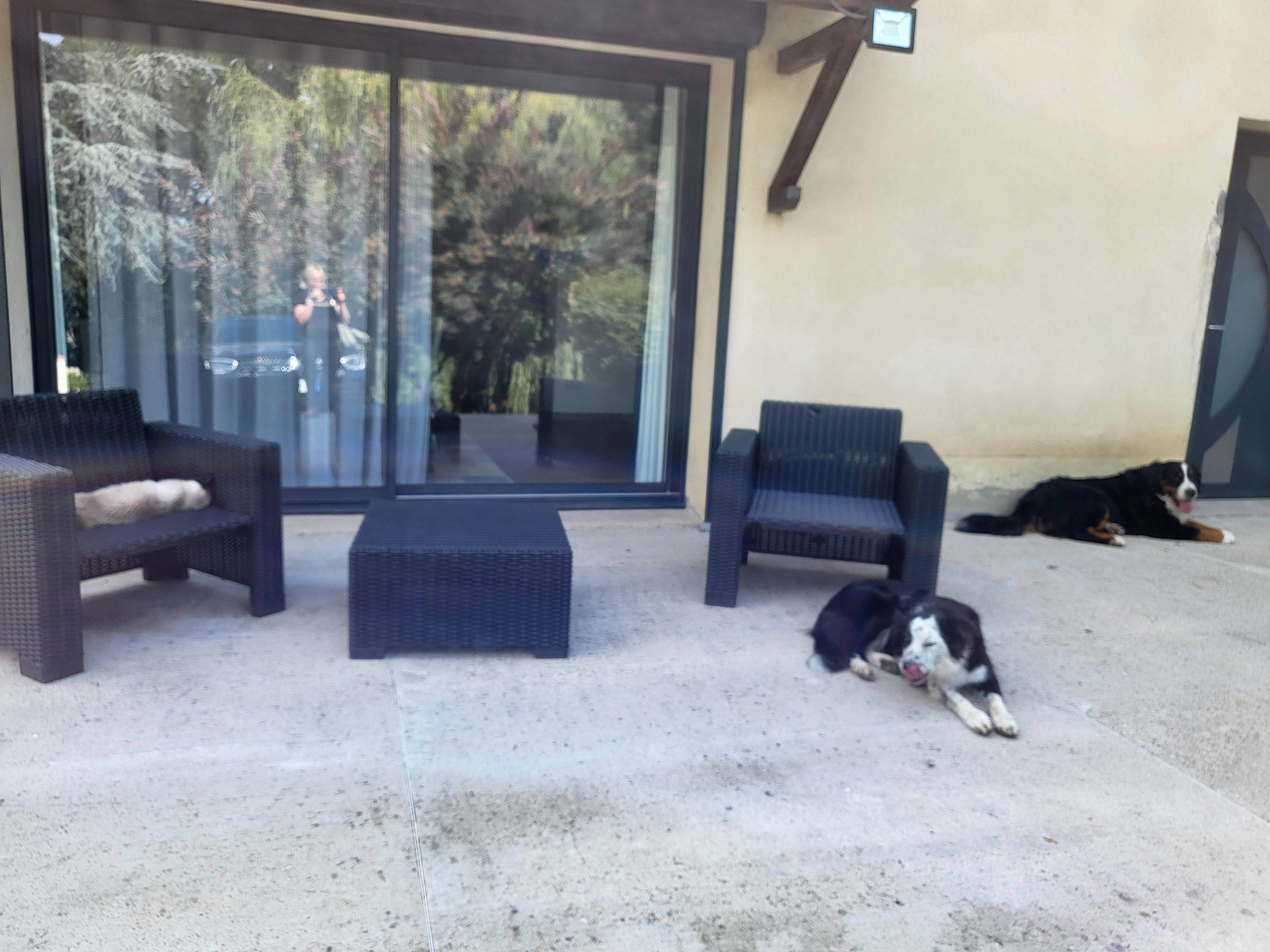 Nala - Chemin Des Vignes, Saïx