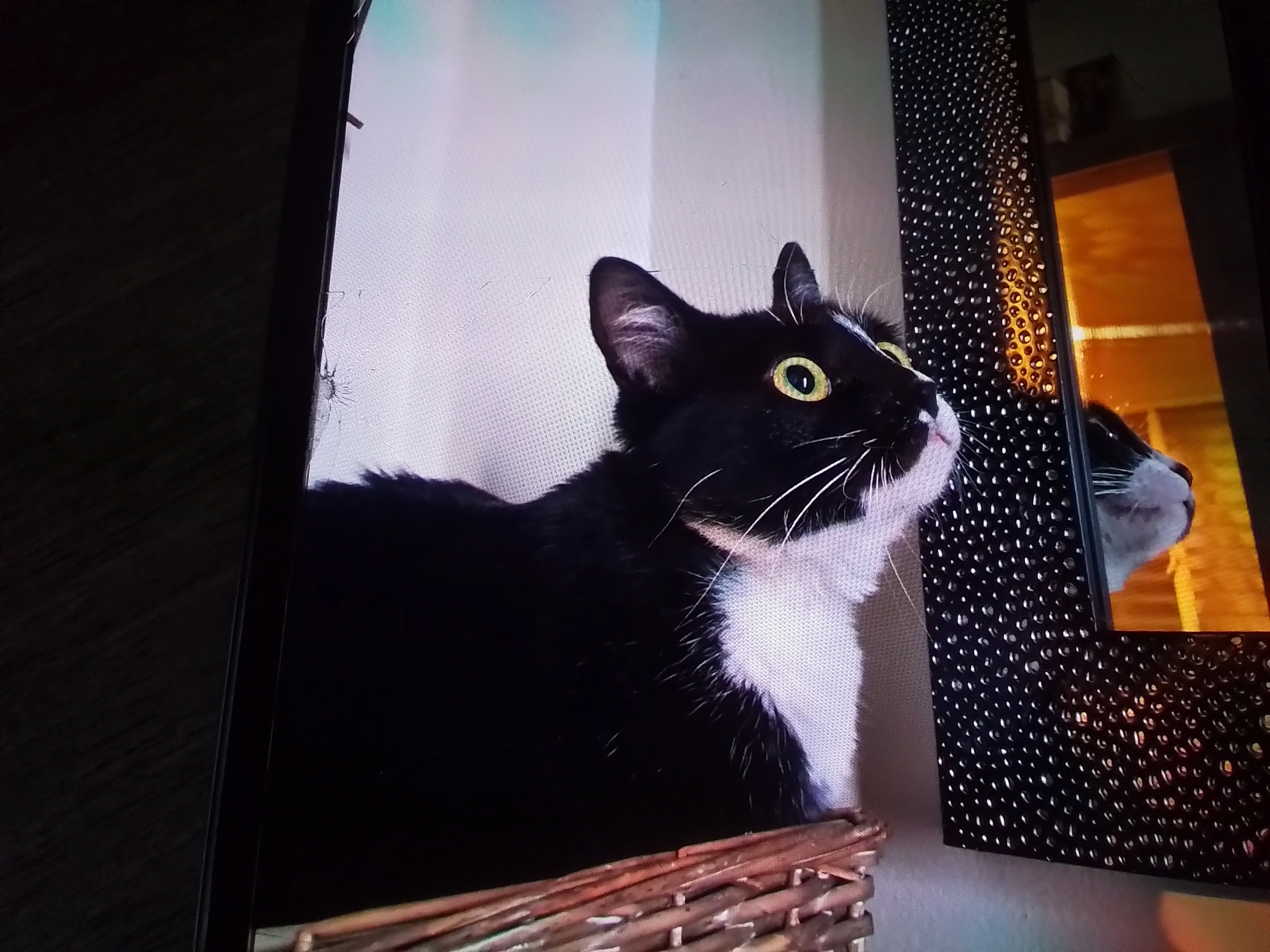 Fripouille - Rue Gustave Flaubert, Oissel