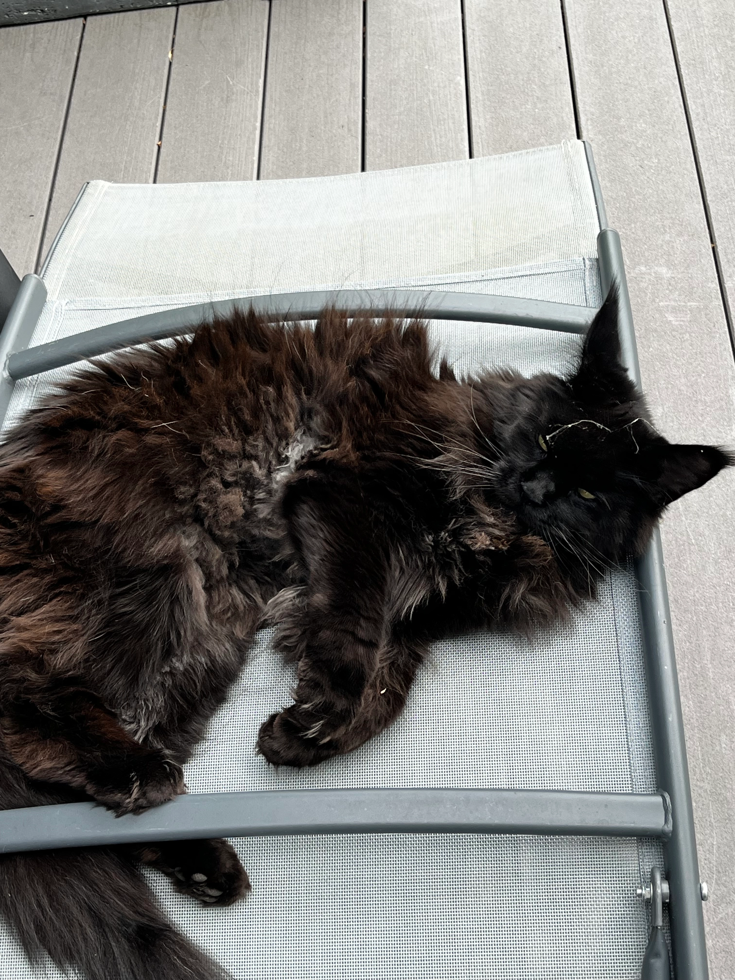 Maly - Quai du Pecq, Sartrouville