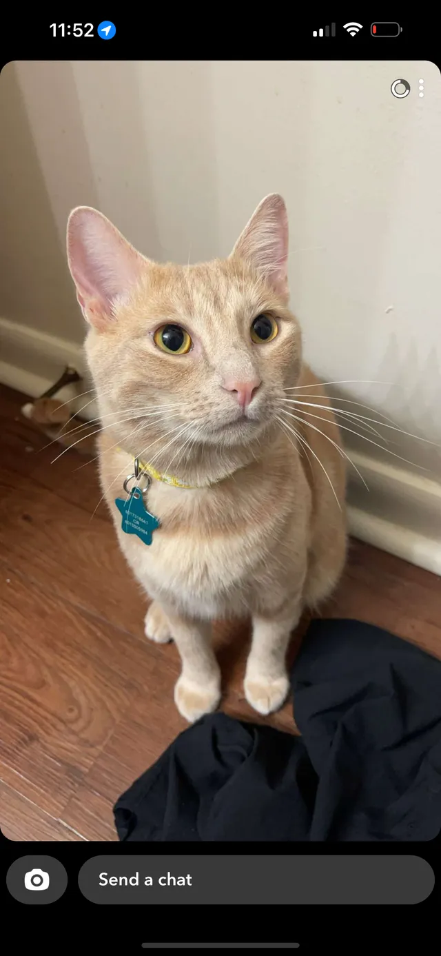 Arlo - Blue Gable Road, Hattiesburg