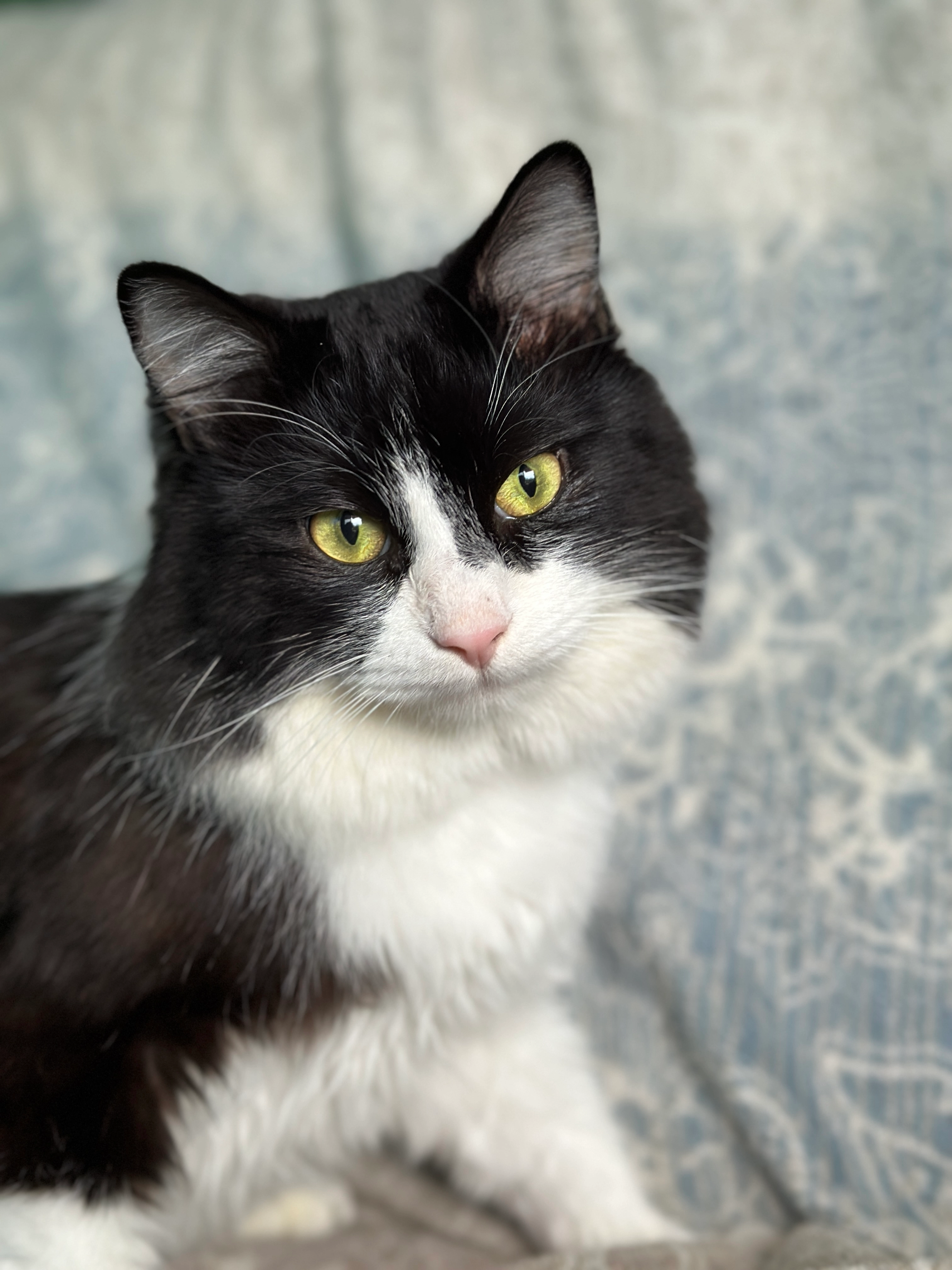 BARSIK - Im Spareiß, Weinsberg