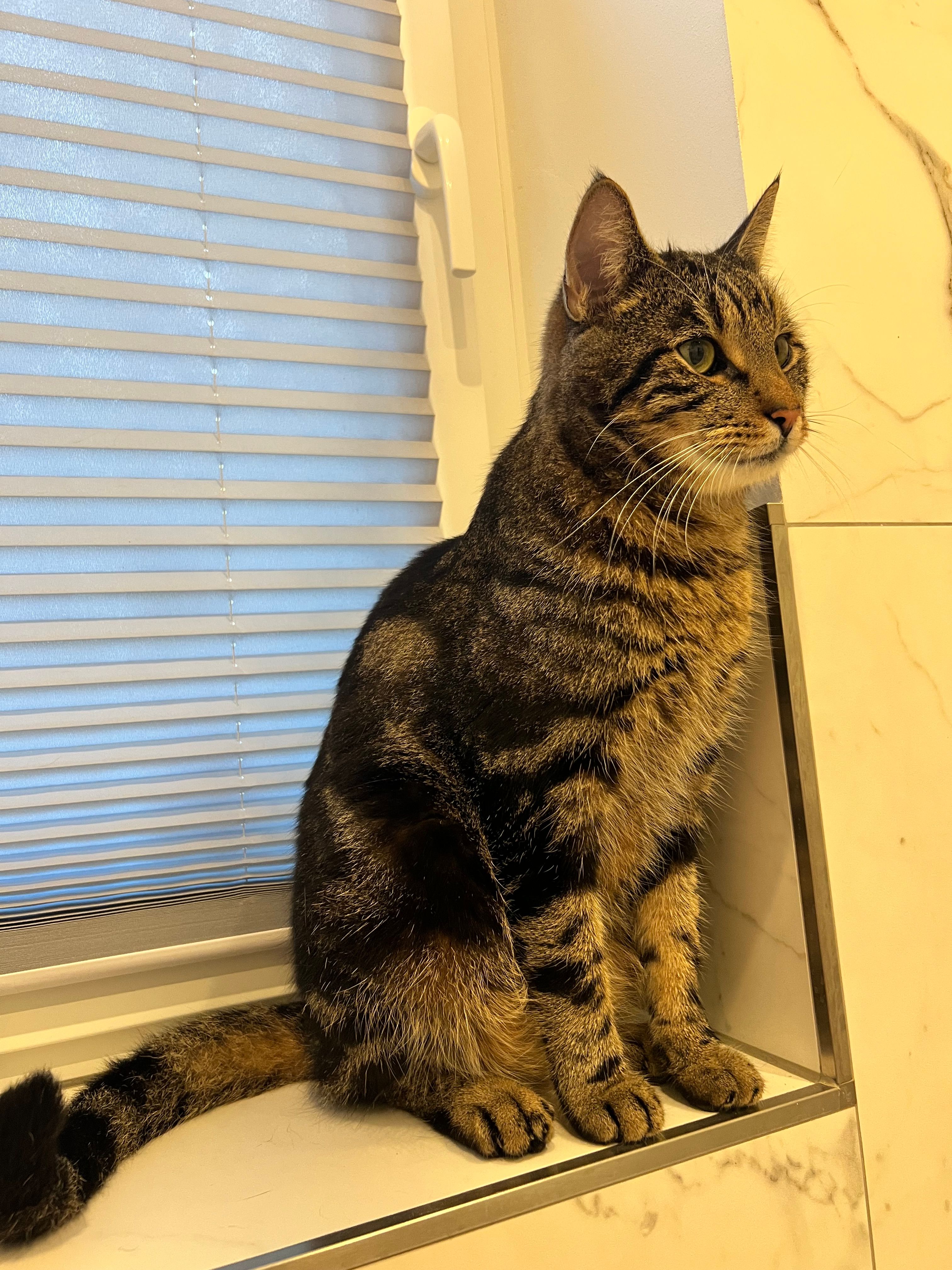 Tequila - Woltower Straße, Selpin