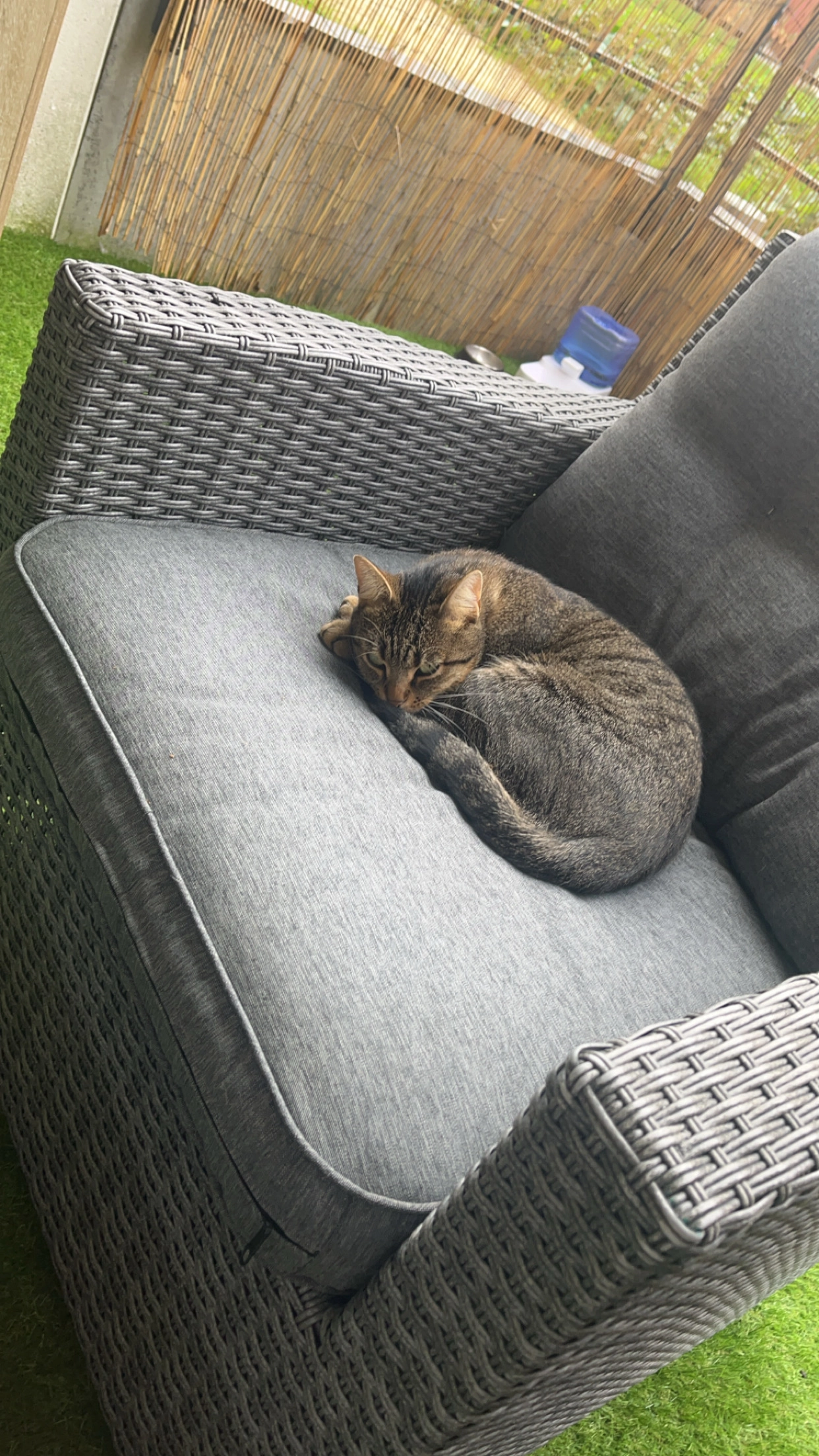 Nikita - Rue Eugène Boudin, Le Grand-Quevilly