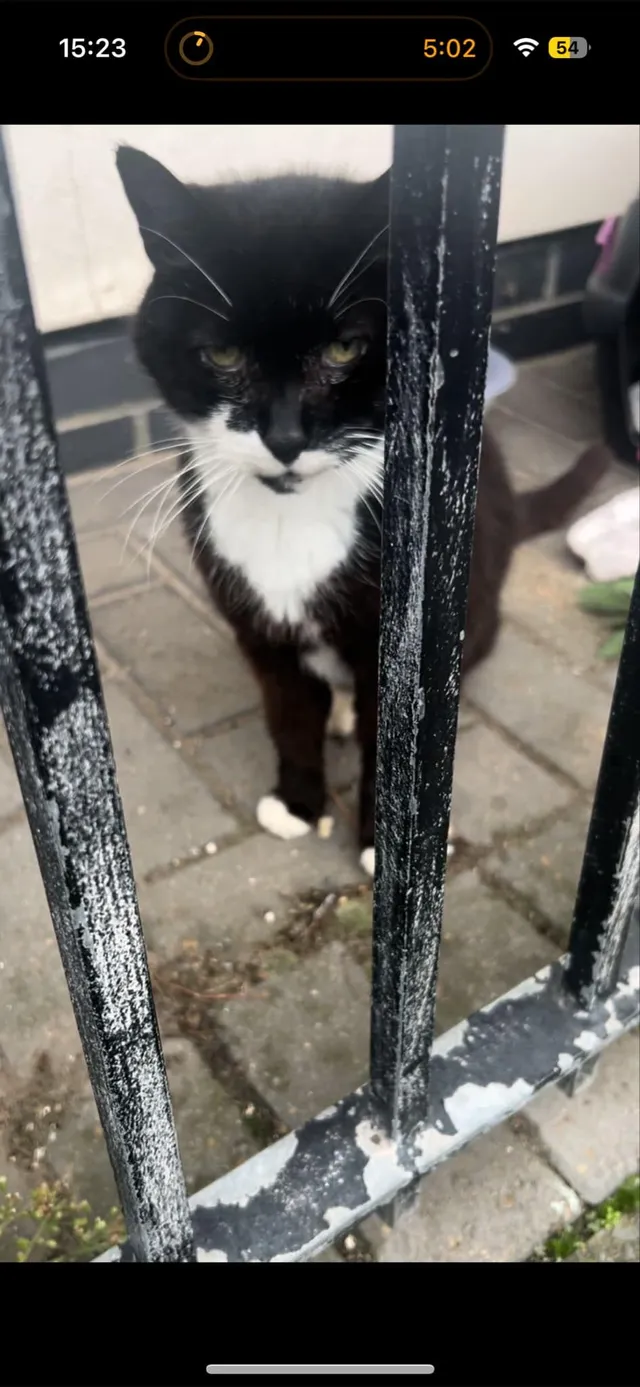 Bill - Aire Drive, South Ockendon