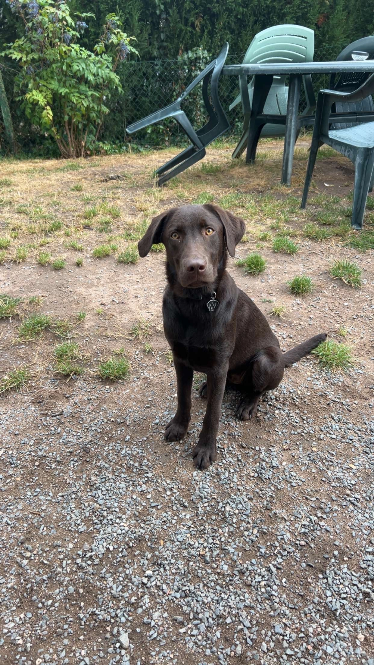 Woody  - 1 Rue de Véga, Agde