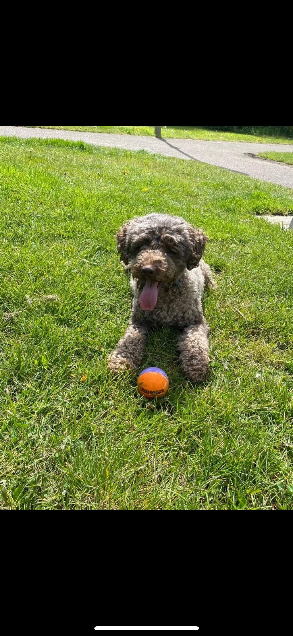 Milo - Fair Oak Road, Eastleigh