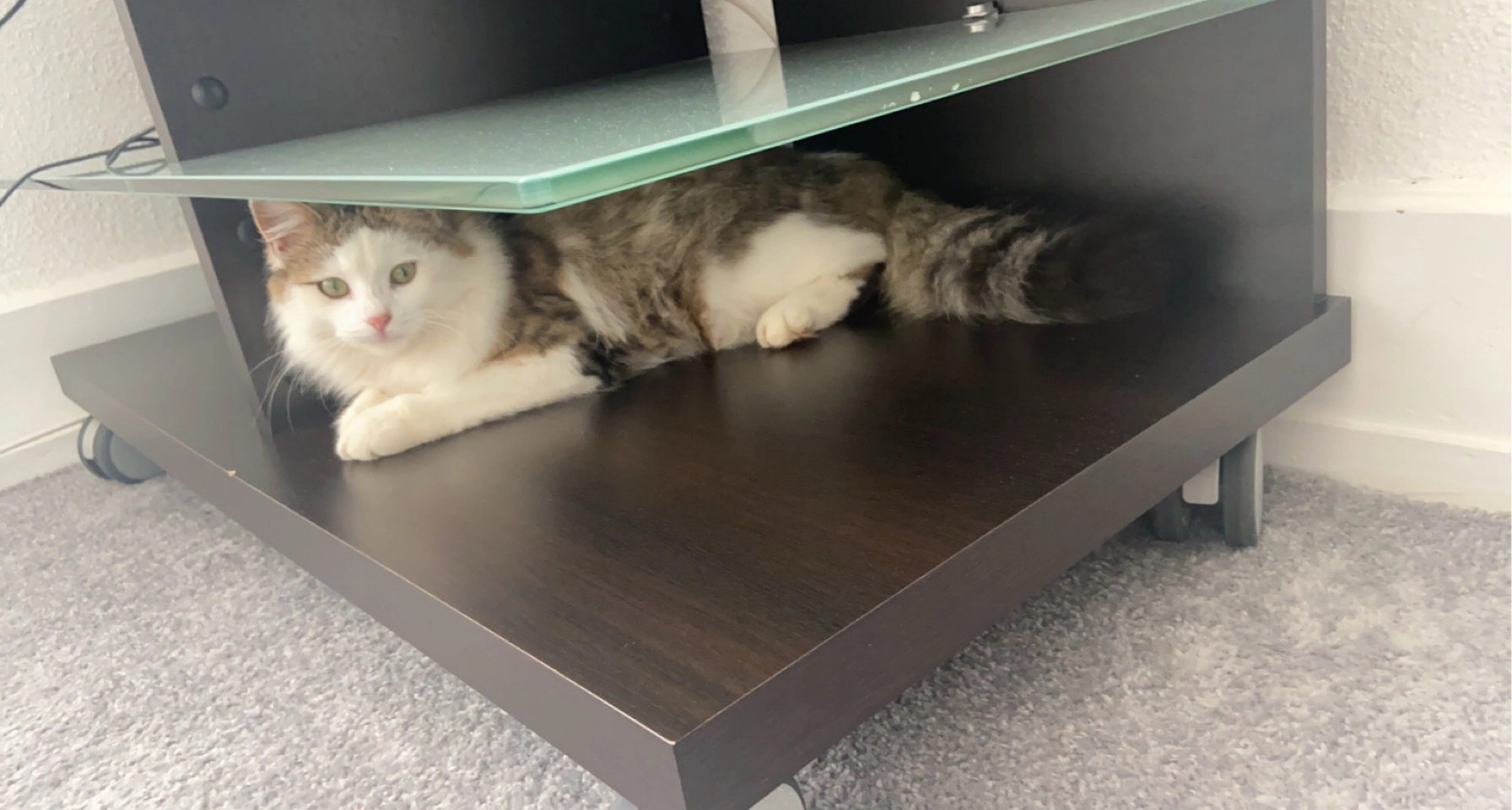 Pamuk - 24 Rue du Général Leclerc, Grandvillars