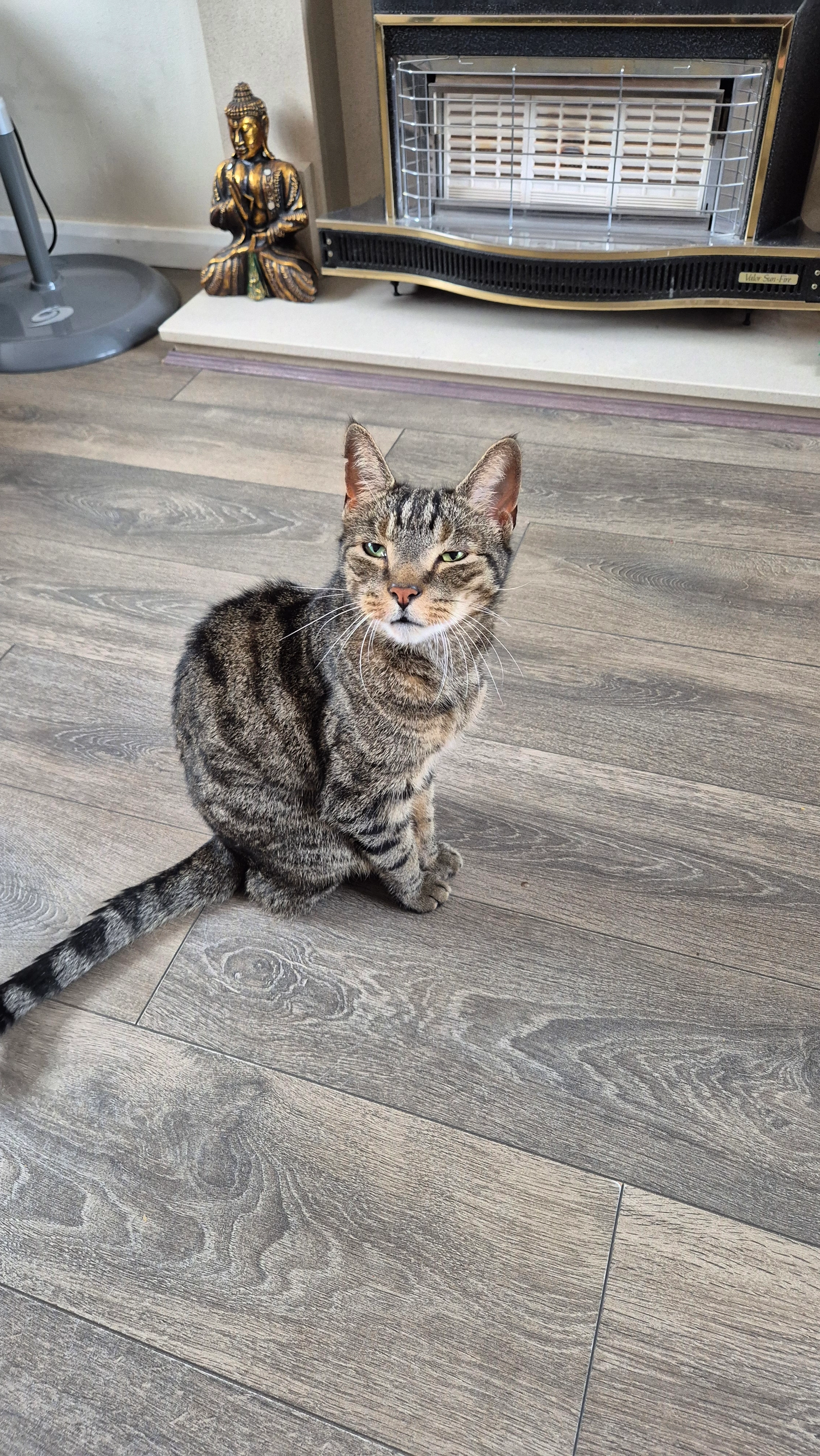 Tabasco - Woodborough Road, Evington, Leicester