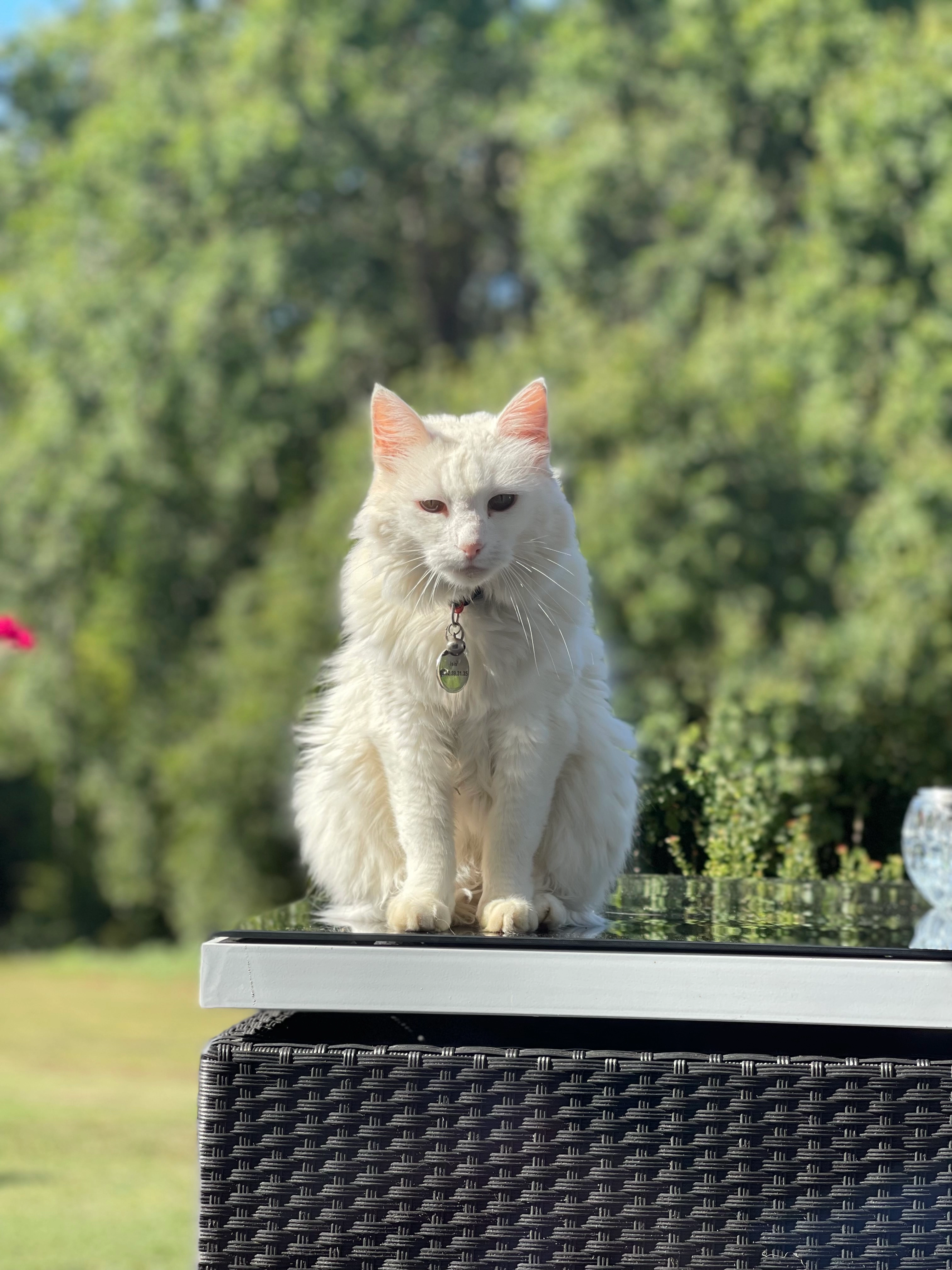 Isis - Route des Galards, Douville