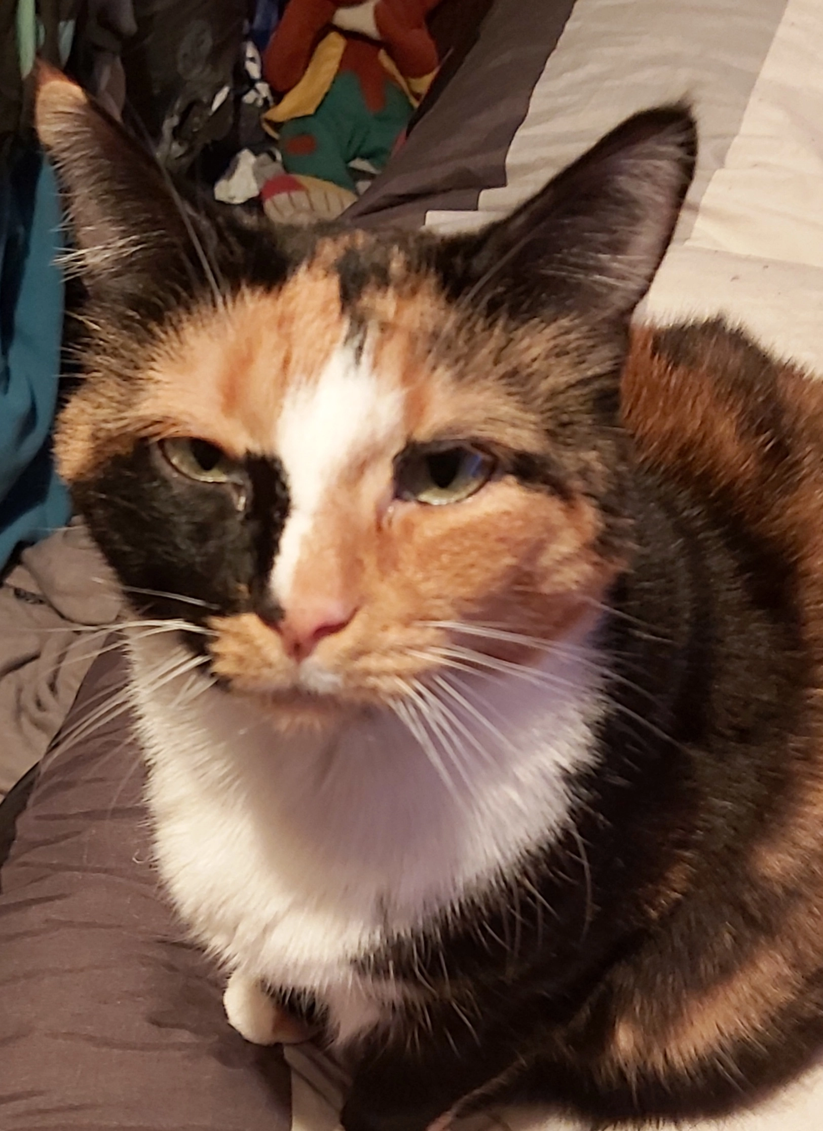 Maylou  - Rue du 19 Mars 1962, Iwuy