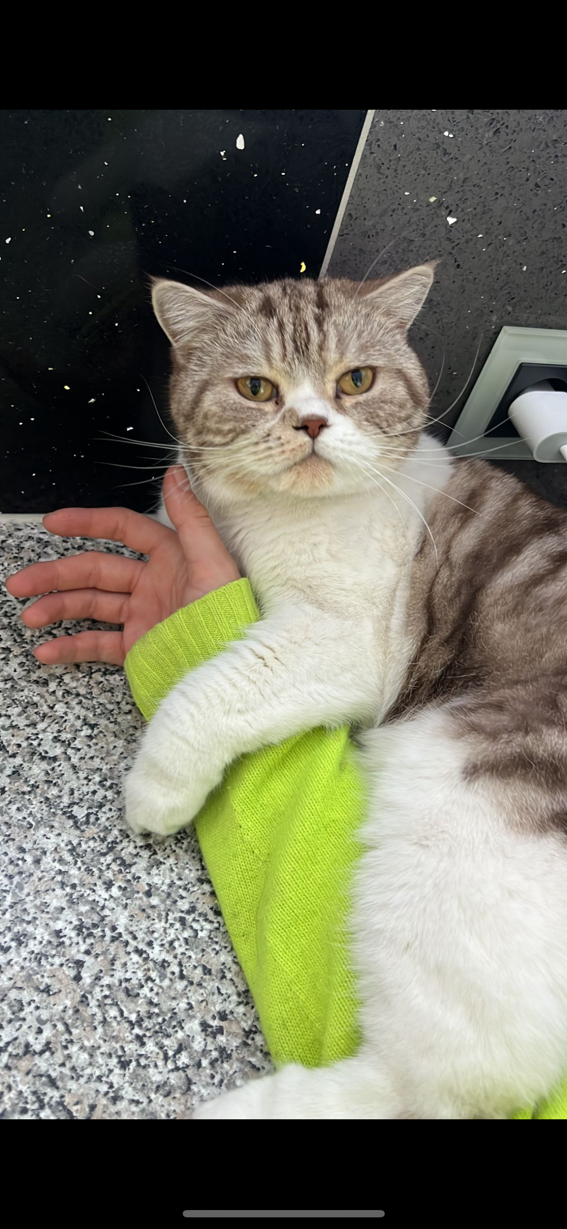 Nala - Oberer Feldweg, Götzens